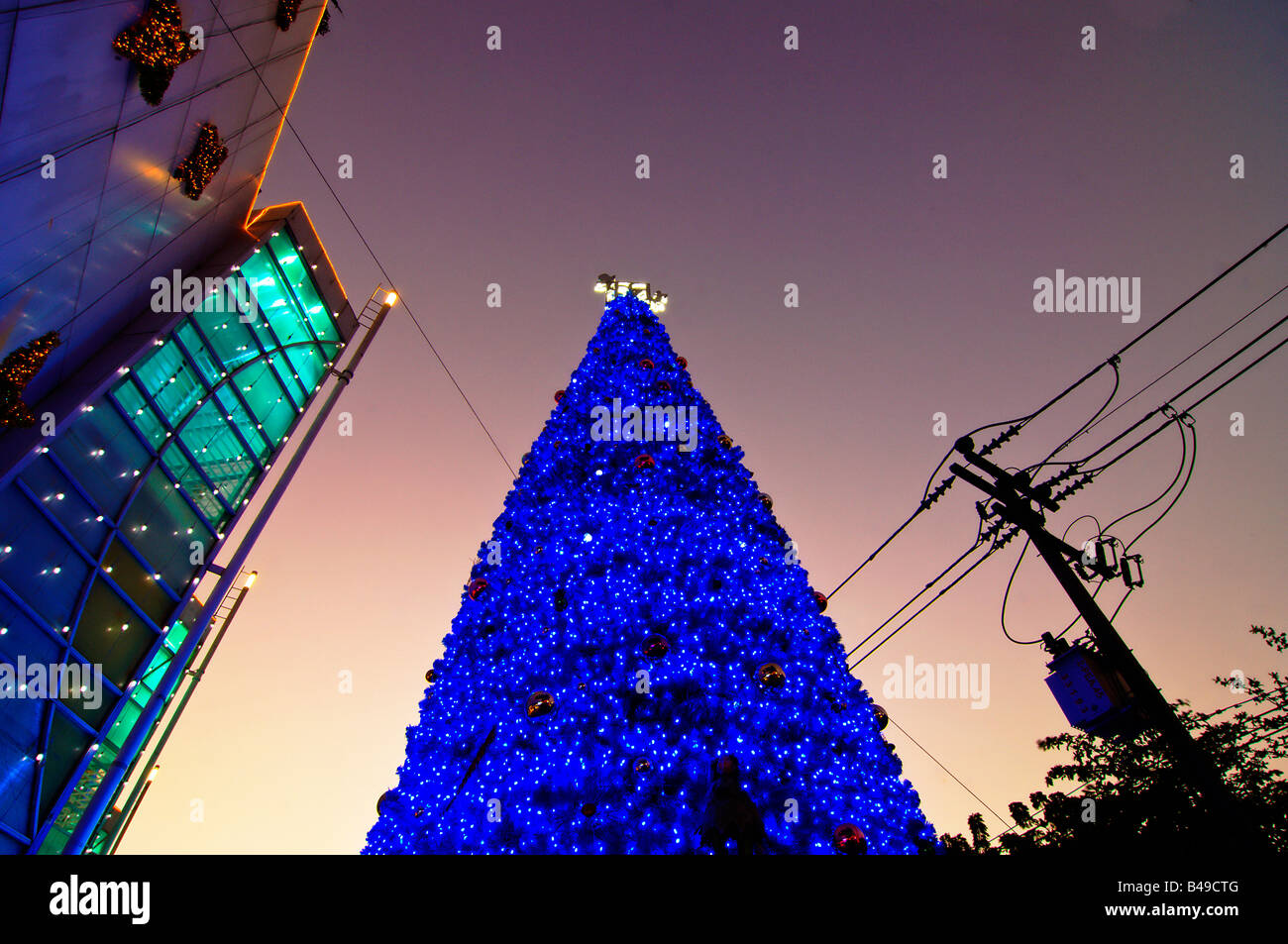 Asie Thaïlande Pattaya Royal Garden Shopping Centre 2007 Décoration de Noël 8 arbre de Noël avec LED bleu Banque D'Images