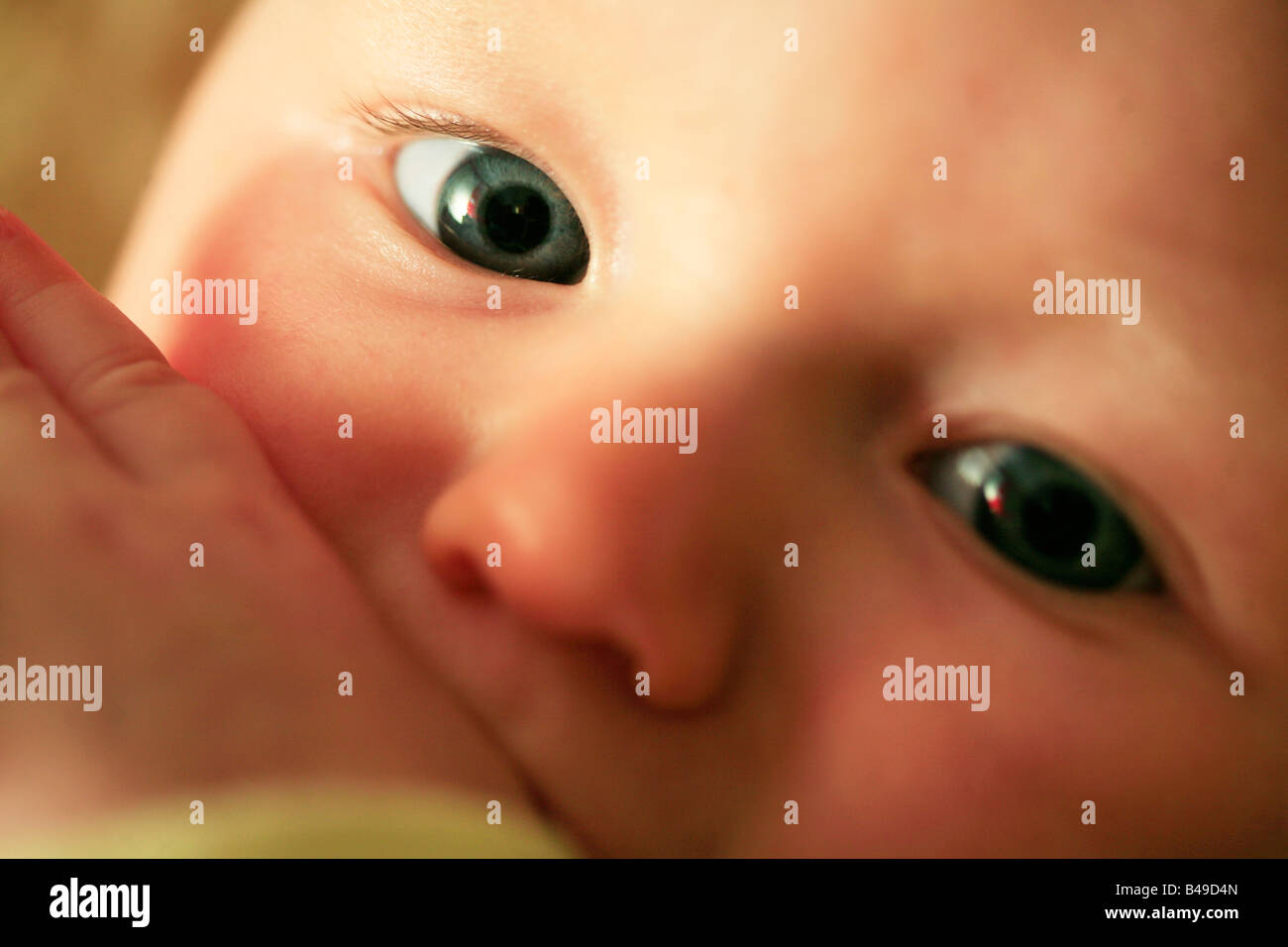 5 mois baby girl looking at camera avec le pouce dans la bouche Banque D'Images