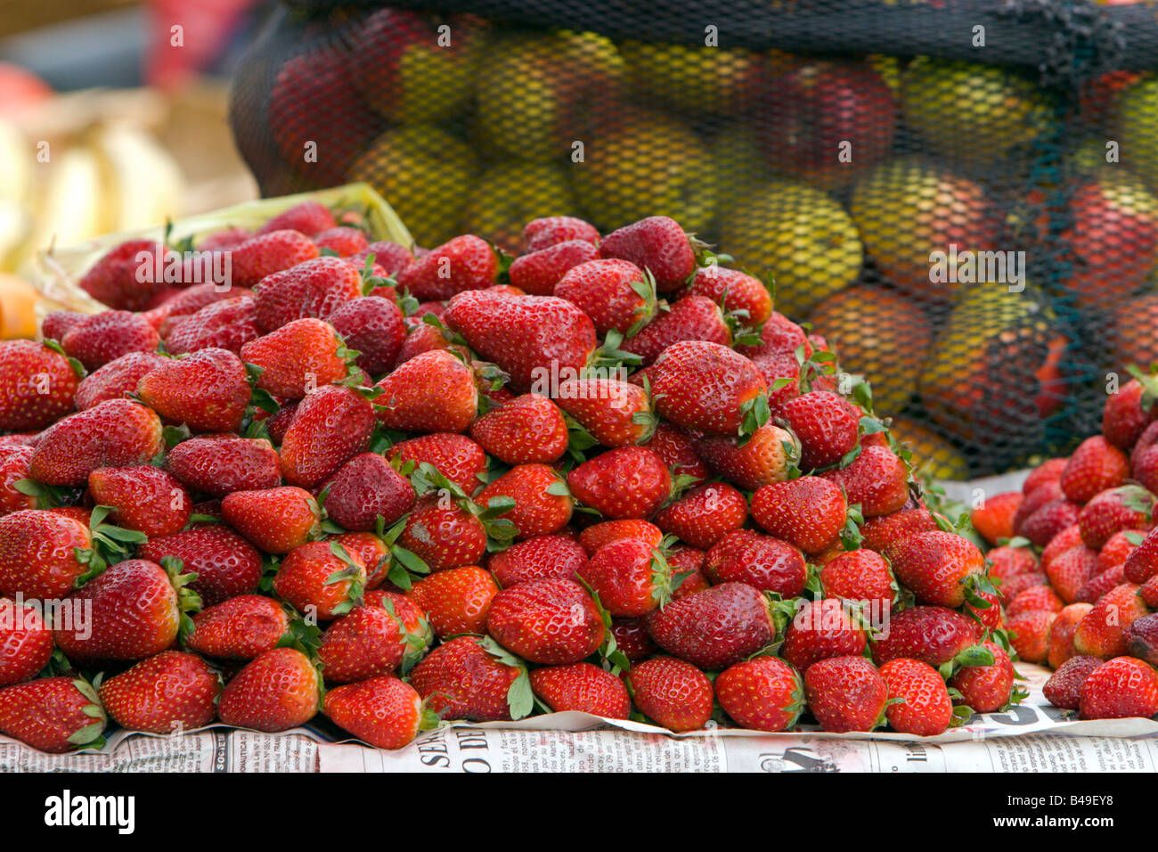 Fruits rouges fraises du marché au Pérou Banque D'Images