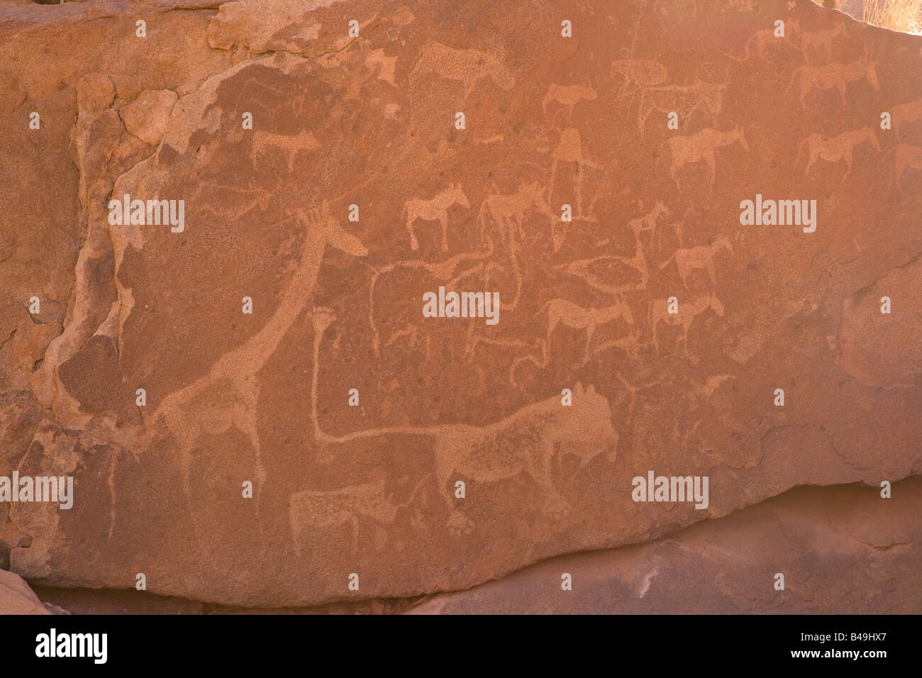 Peintures de roche à Twyfelfontein en Namibie Banque D'Images