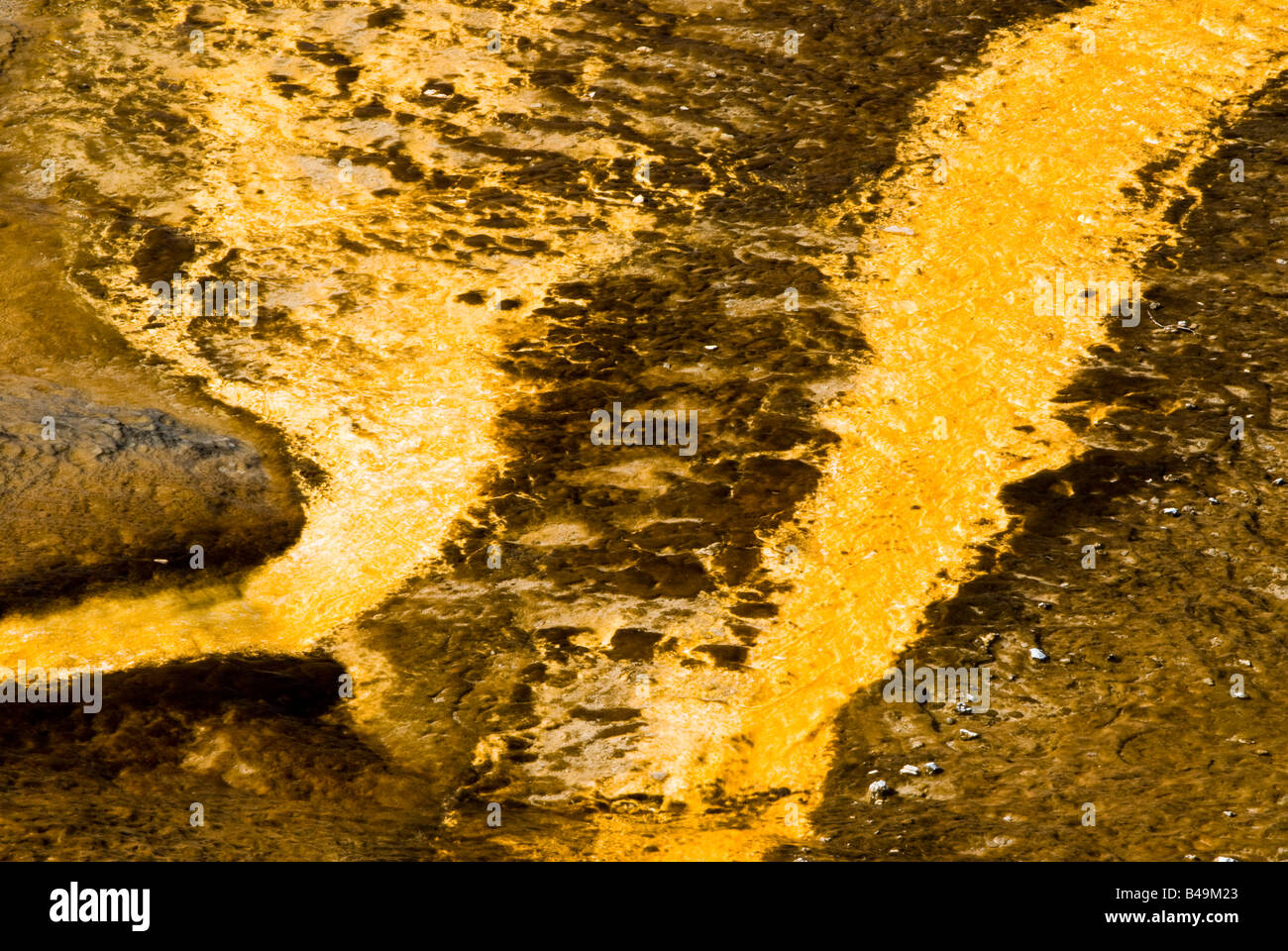 Motifs abstraits dans les sources hydrothermales dans le Parc National de Yellowstone Banque D'Images