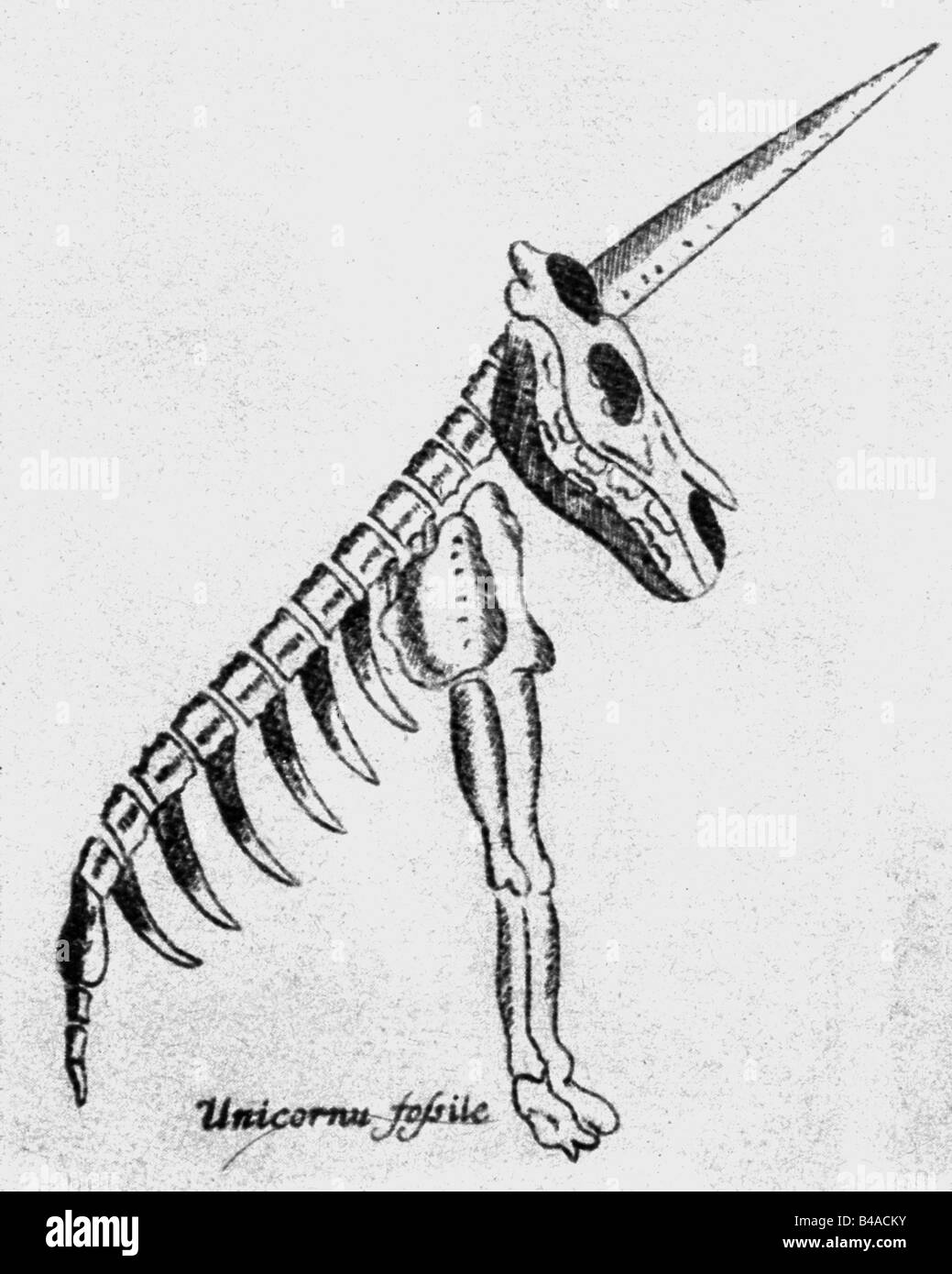 Superstition, créatures mythiques, capricorns, squelette, reconnaissance après Gottfried Wilhelm Leibniz, vers 1665, Banque D'Images
