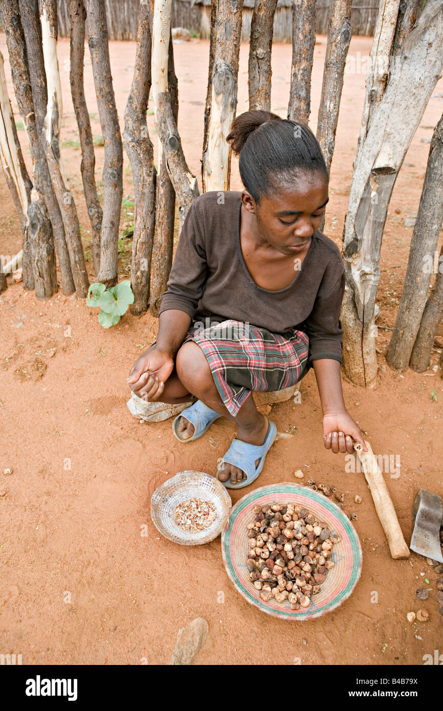 Fille namibienne Marula préparation Sclerocarya birrea noix à homestead