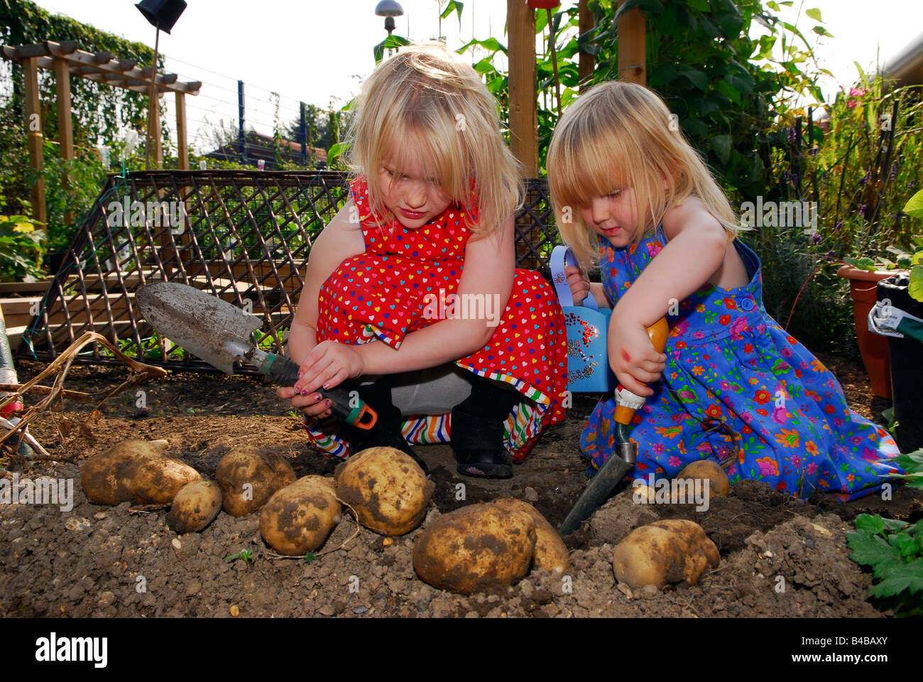 Deux jeunes sœurs pour la recherche des pommes de terre dans le jardin de la communauté nouvellement ouvert, Hounslow, Middlesex, Royaume-Uni. Banque D'Images