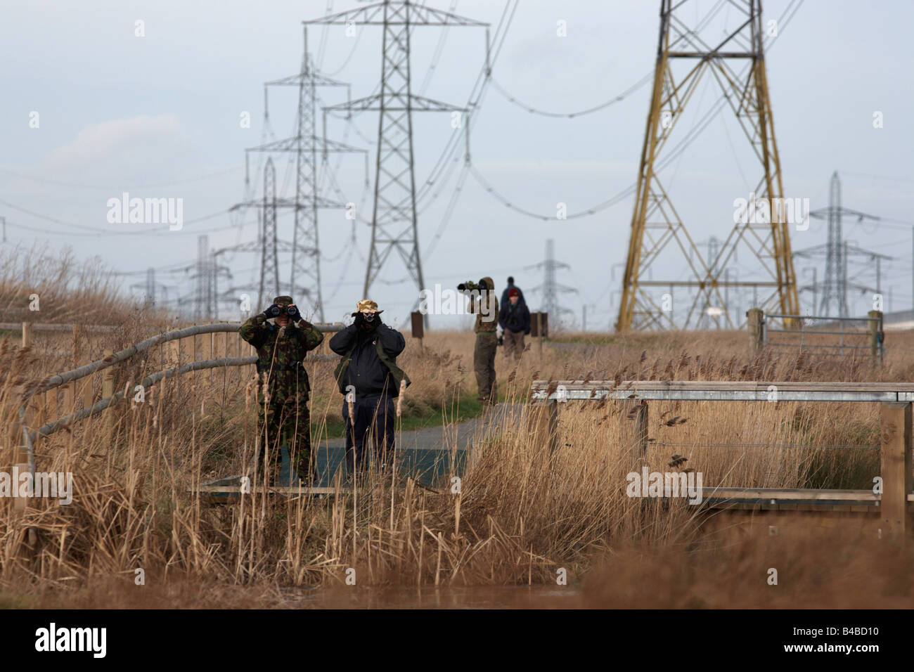 Birdspotters camouflé par des jumelles par les pairs pour la faune à l'RSPB réserve d'oiseaux et d'animaux sauvages à Rainham Marais, Essex Banque D'Images