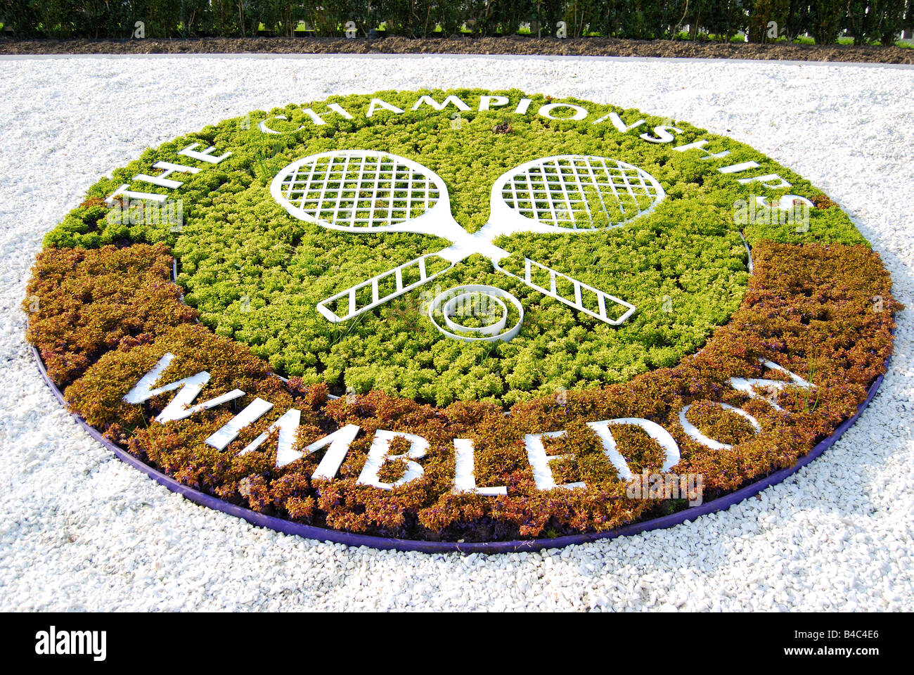 Logo floral sur Henman Hill, Wimbledon Championships, Wimbledon Lawn tennis Club, Wimbledon, Borough of Merton, Greater London, Angleterre, Royaume-Uni Banque D'Images
