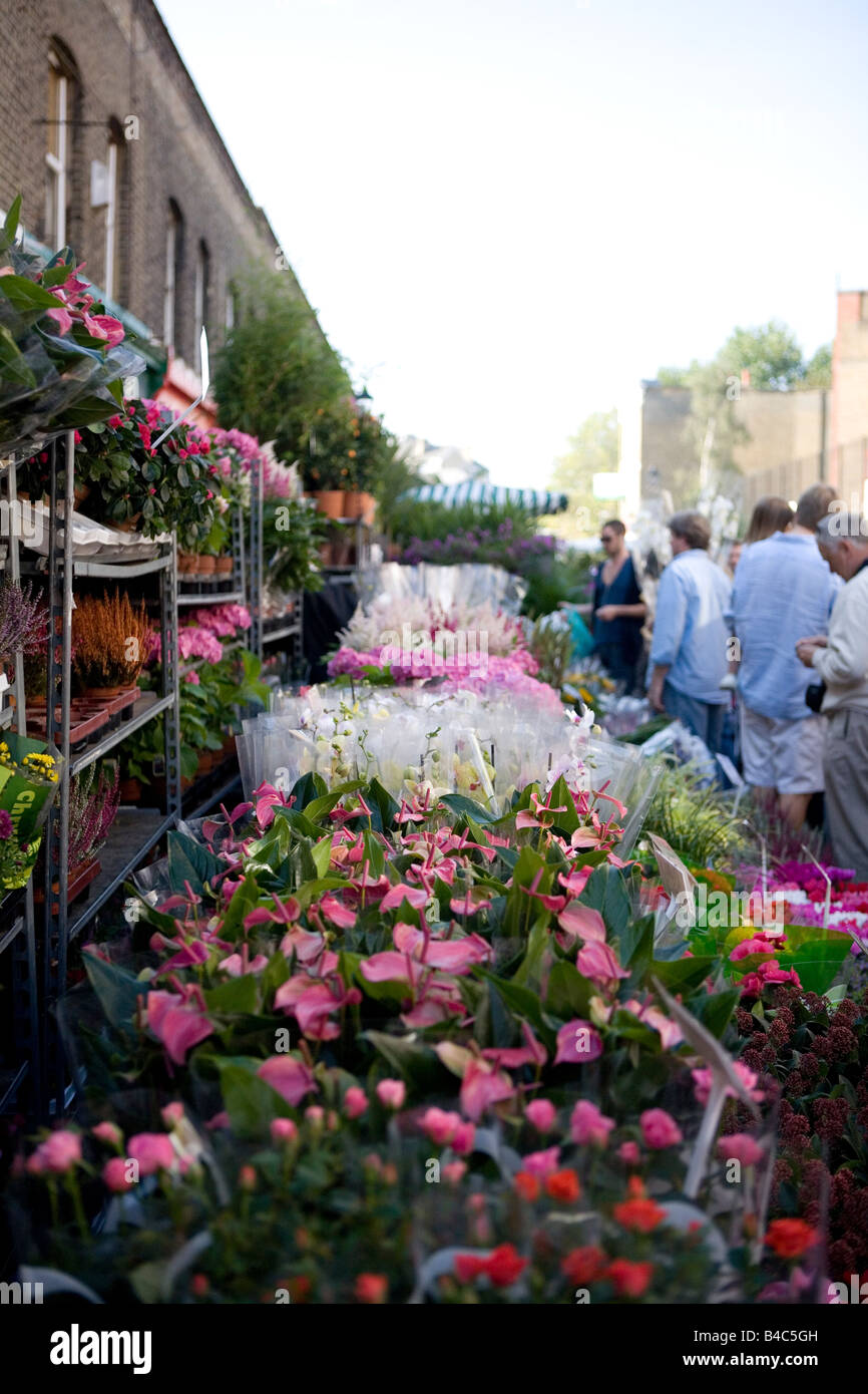 La Colombie e marché aux fleurs Banque D'Images