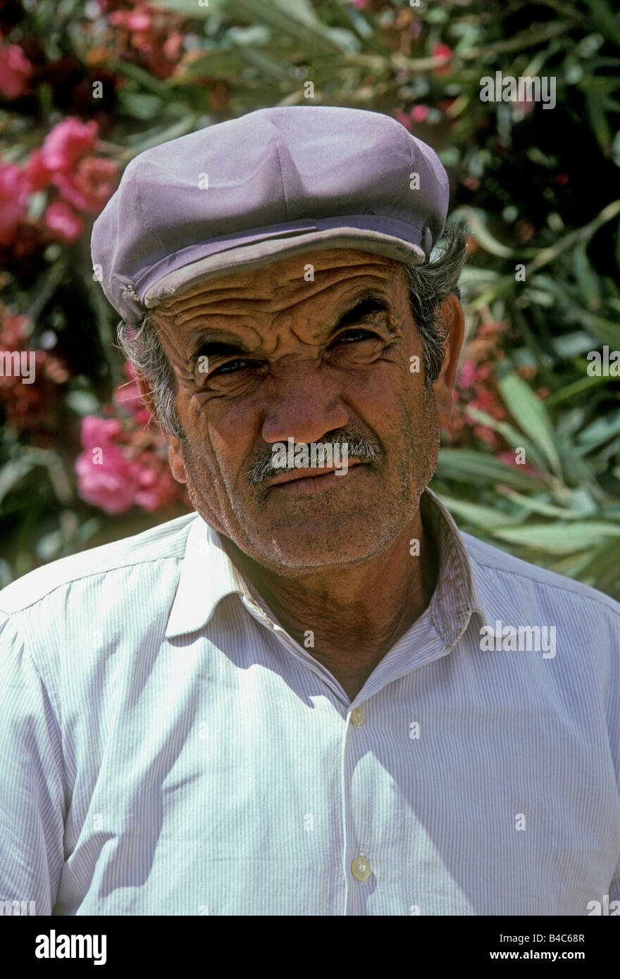 1, l'un grec, l'homme, l'homme grec, un homme âgé, homme mûr, l'homme adulte, village d'ano sangri, ano sangri, Naxos, l'île de Naxos, Cyclades, Grèce, Groupe de l'île Banque D'Images