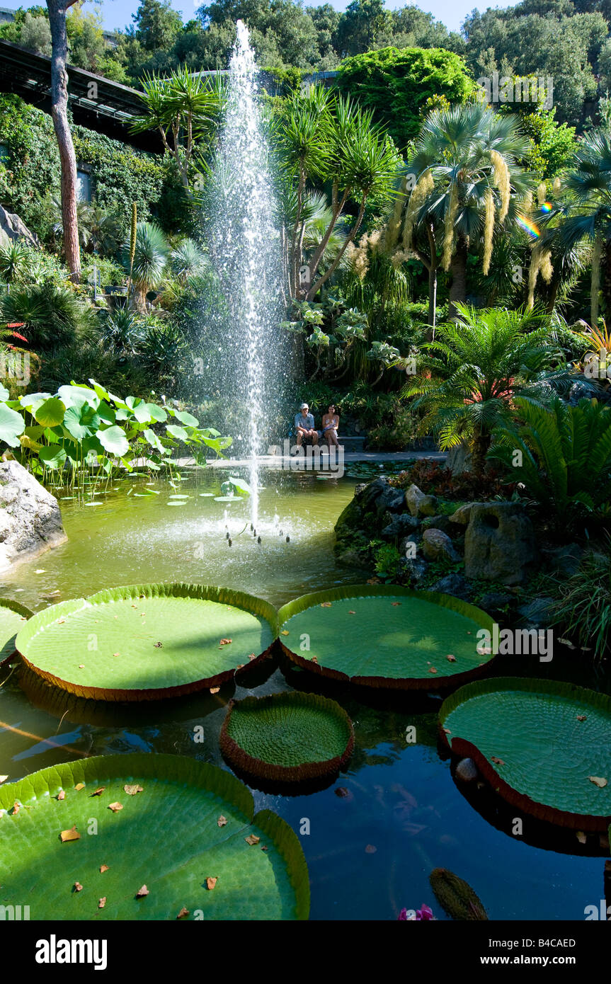Nénuphar géant de Victoria Amazonica et la fontaine dans les jardins de La Mortella Banque D'Images