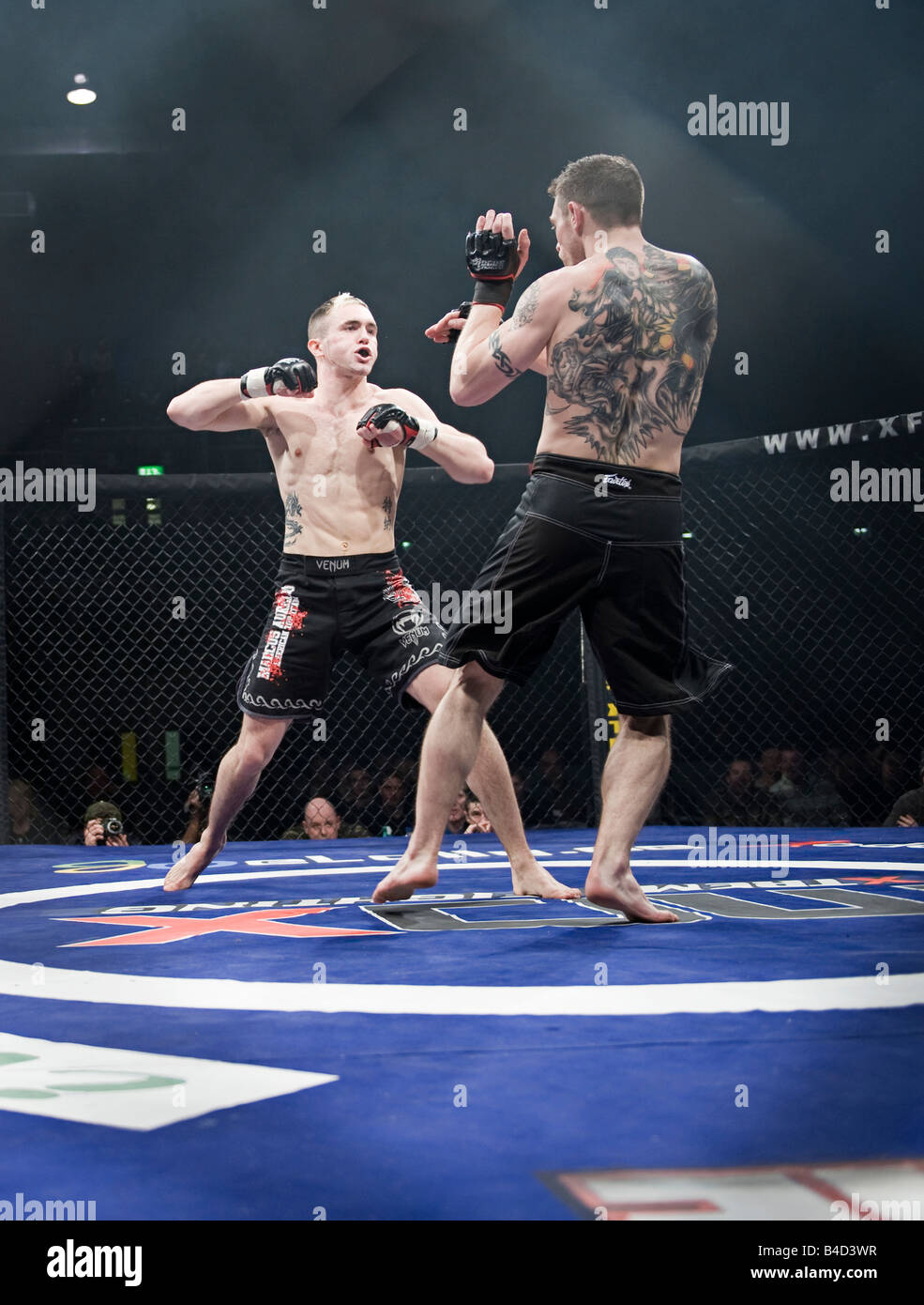 Les combattants de la cage en action lors d'une cage Wars concours tenu à Brahead arena de Glasgow les combattants de MMA (Mixed Martial Arts fighters Banque D'Images