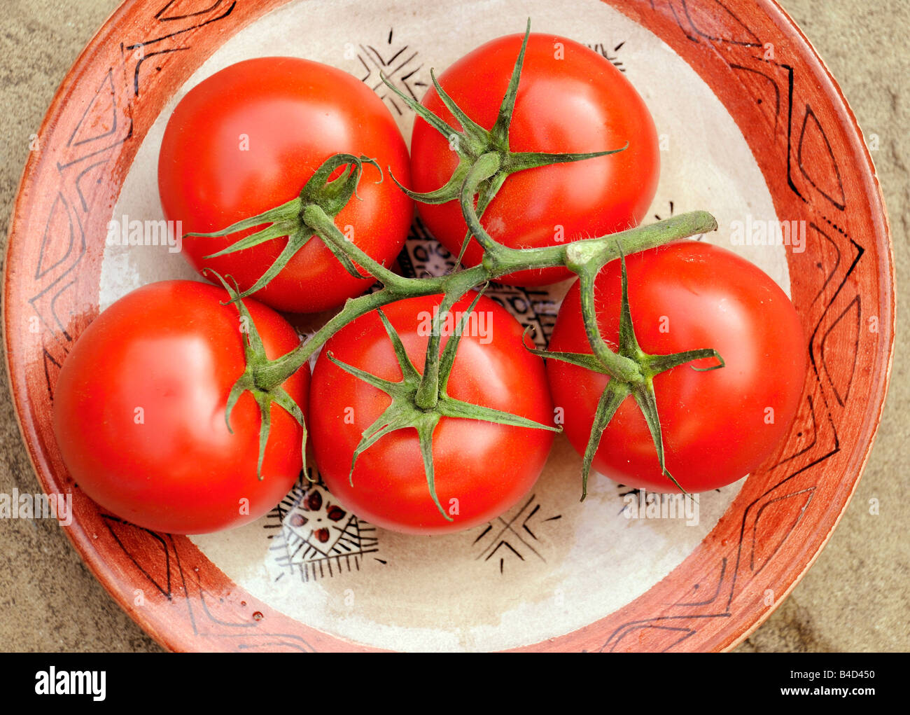 Les tomates mûries sur vigne Banque D'Images