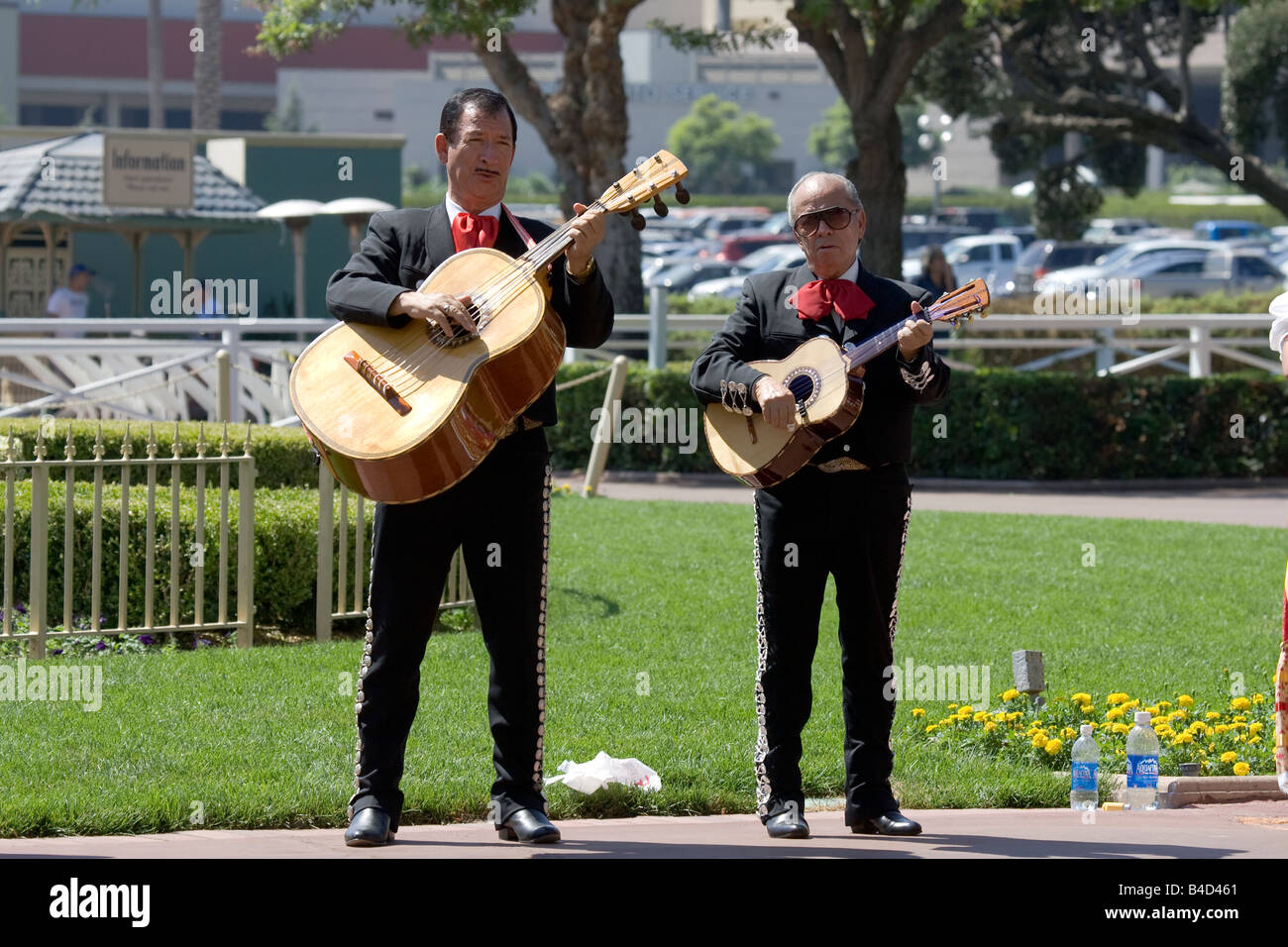 Les Guitaristes Mariachi Banque D'Images