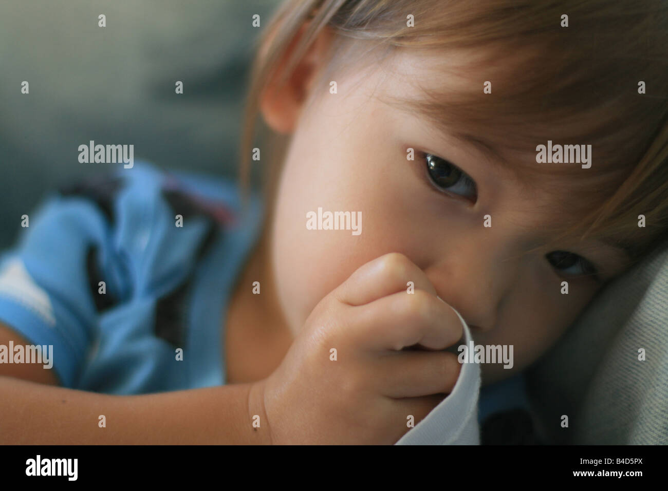 A 23 Mois Bebe Fille Suce Son Pouce En Tenant Un Tshirt Blanc Qu Elle Utilise Comme Une Couverture De Securite Photo Stock Alamy A 23 Mois Bebe Fille Suce Son Pouce En Tenant Un Tshirt Blanc Qu Elle Utilise Comme Une Couverture De Securite Photo Stock Alamy
