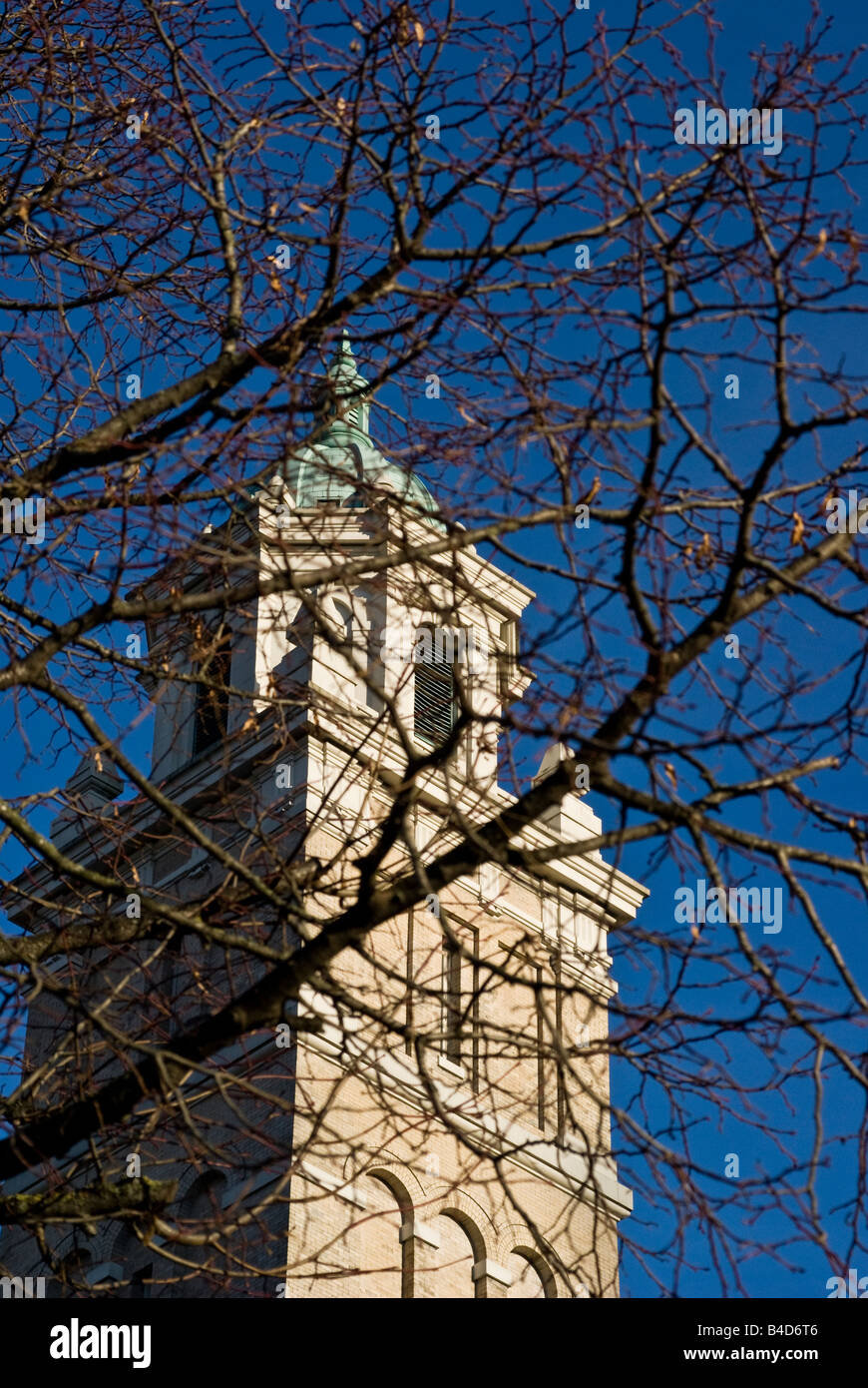 Une tour de la cathédrale St James dans le centre-ville de Seattle vu à travers les branches d'un arbre. Banque D'Images