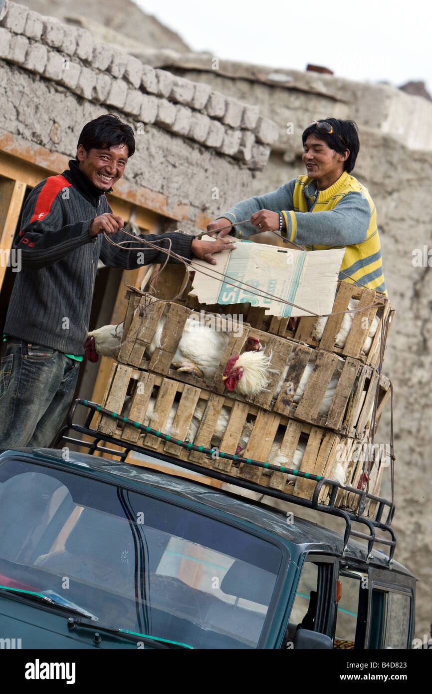 Charger certaines personnes ladakhis poulet sur le toit d'une Jeep Banque D'Images