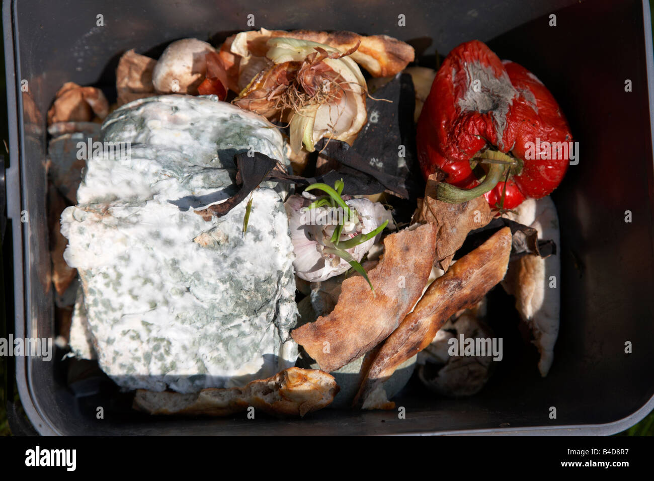 Rotting nourriture gaspillée par un ménage dans un bac de recyclage cuisine bokashi au Royaume-Uni Banque D'Images