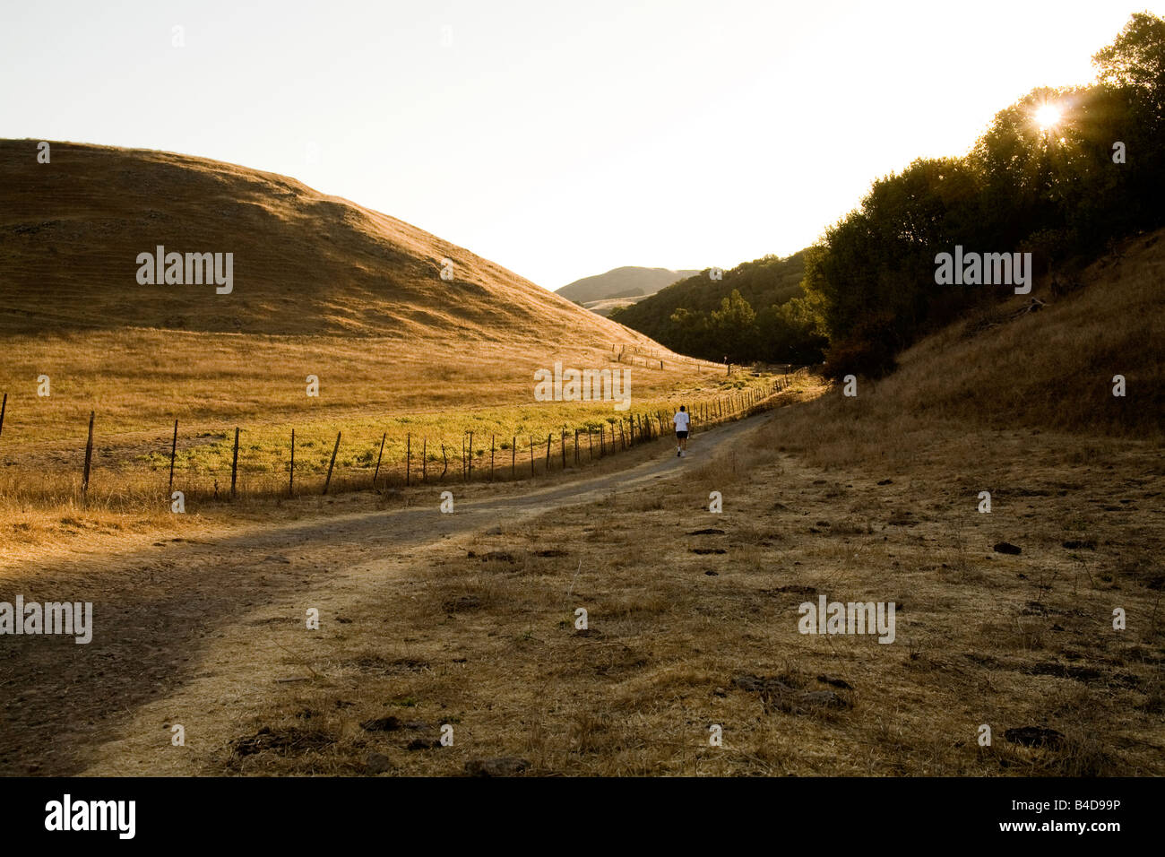Le soleil du matin à travers les sommets des arbres comme un randonneur promenades sur le sentier de crête à Mission Peak Regional Preserve à Fremont. Banque D'Images