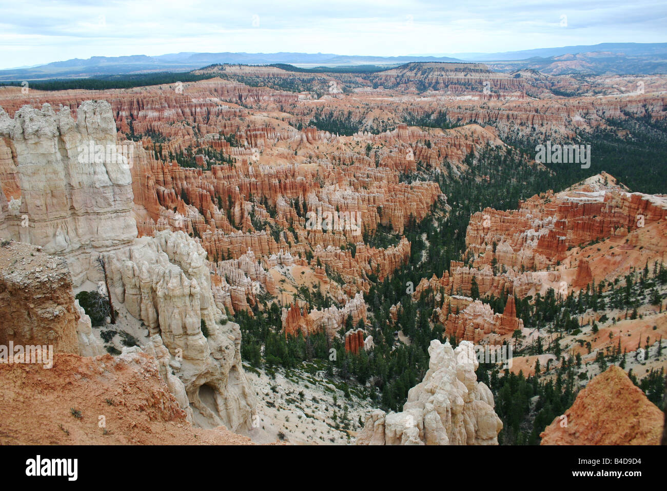 Panorama de Bryce Canyon Banque D'Images