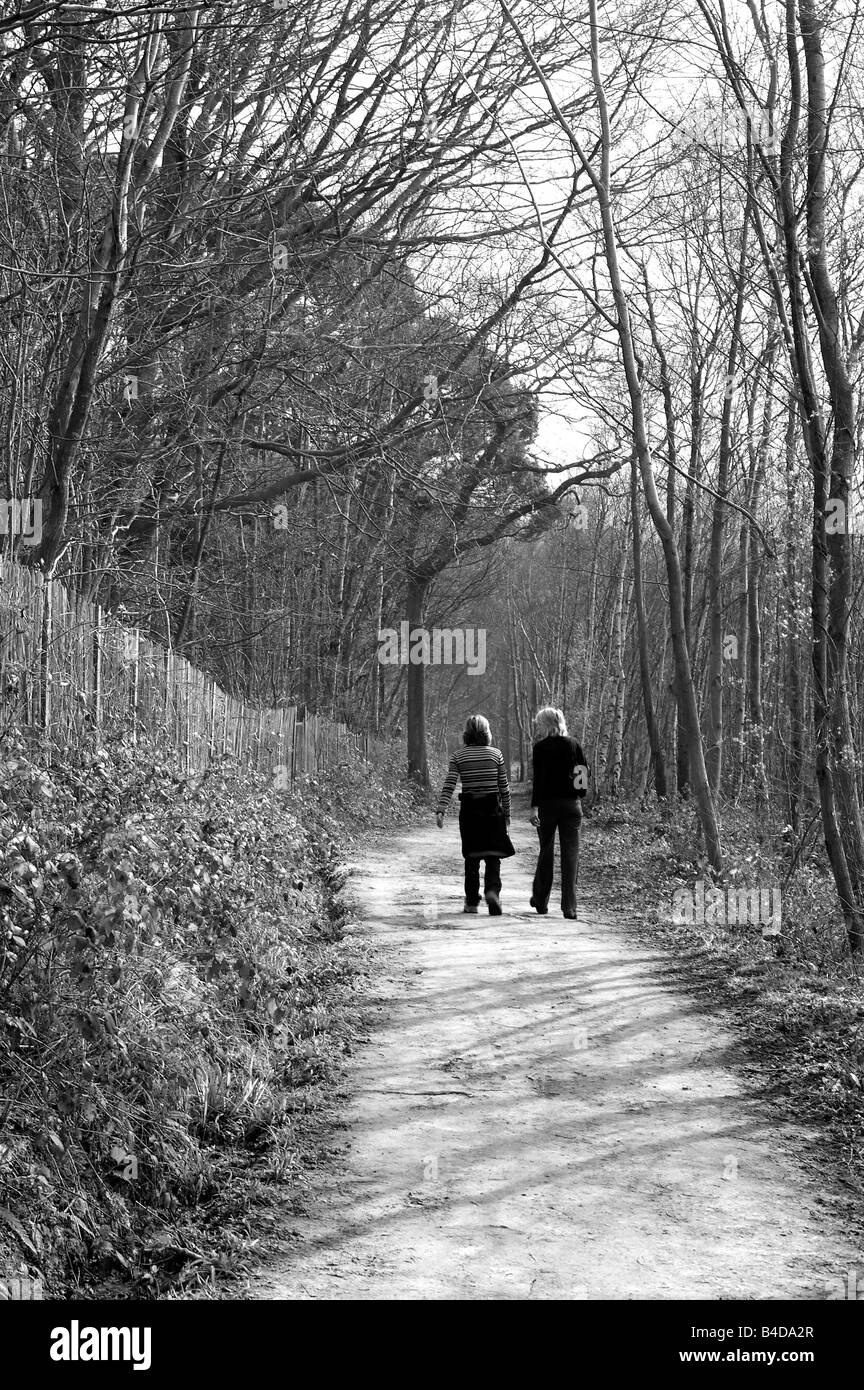 Marcher le chemin de la route à travers la forêt Banque D'Images