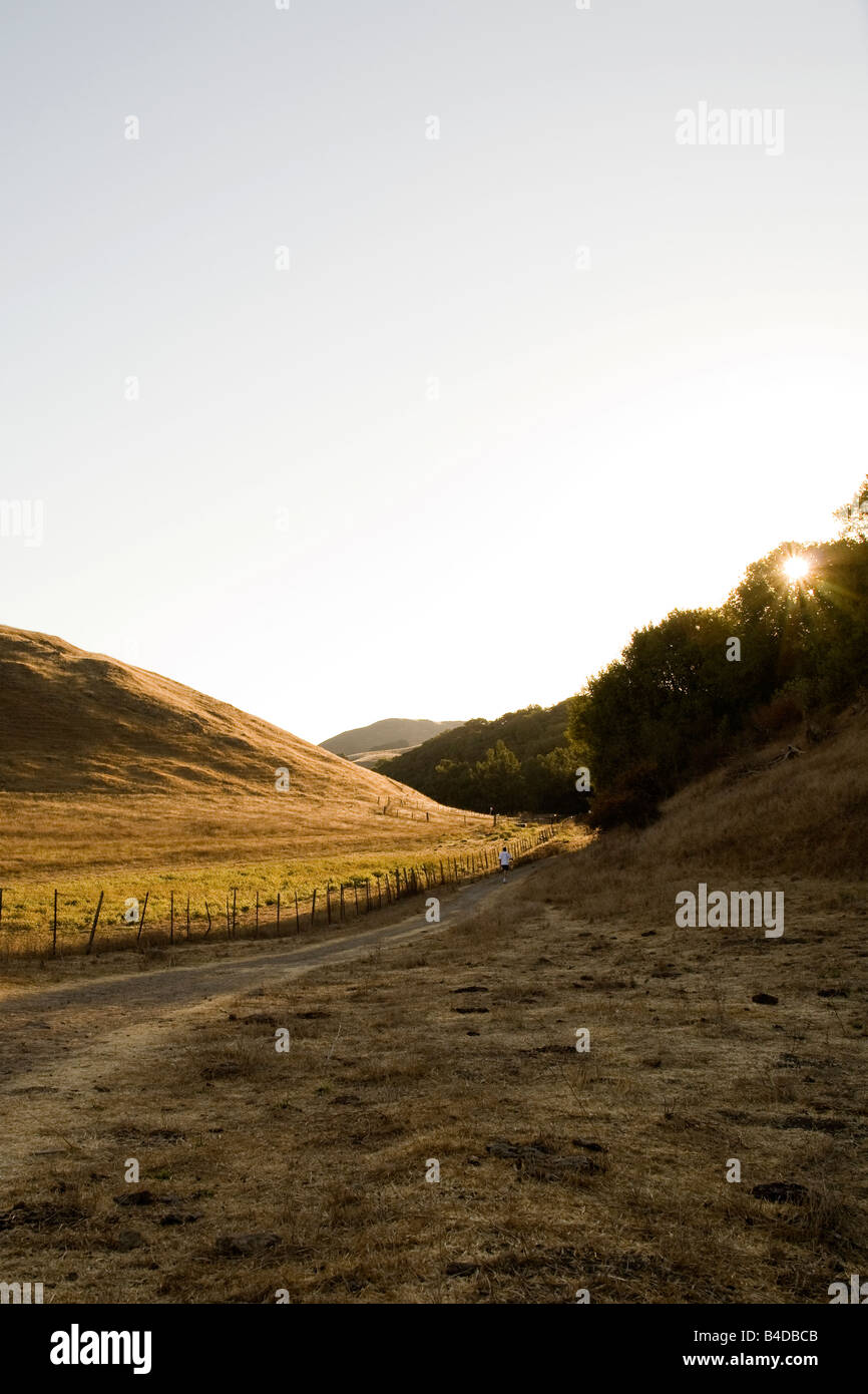 Le soleil du matin à travers les sommets des arbres comme un randonneur promenades sur le sentier de crête à Mission Peak Regional Preserve à Fremont. Banque D'Images