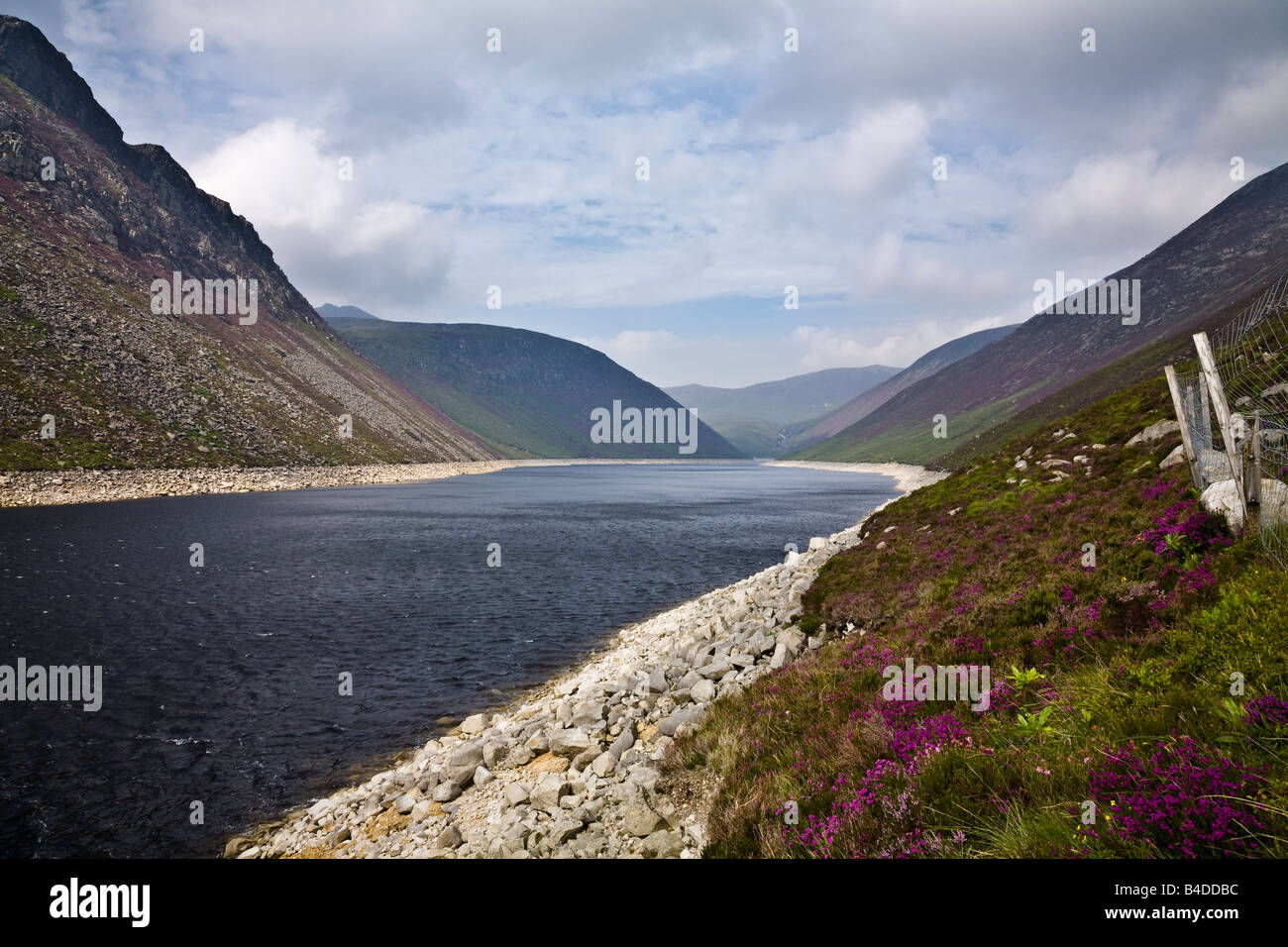 Ben Crom réservoir, Silent Valley, montagnes de Mourne, comté de Down, Irlande du Nord Banque D'Images