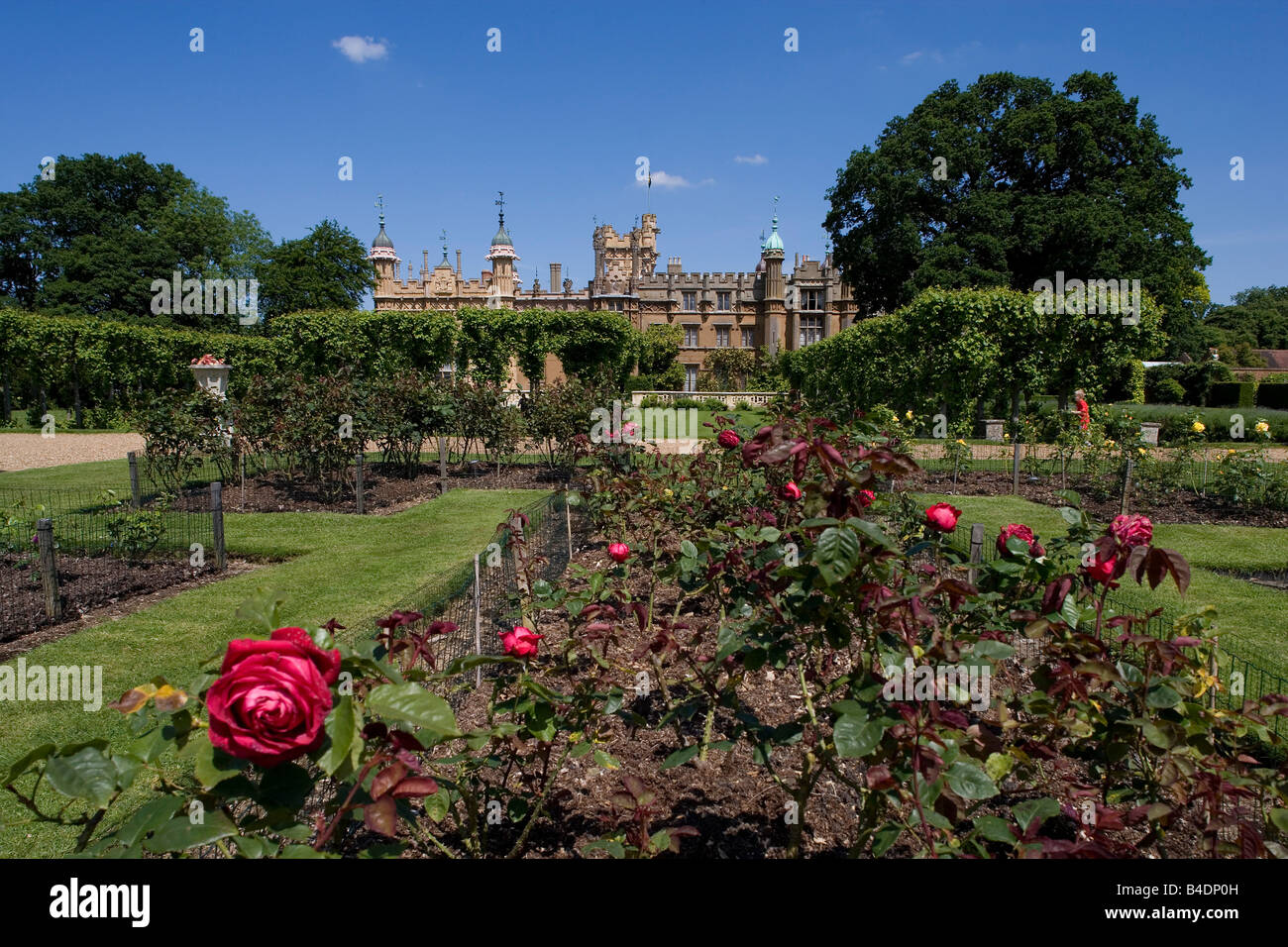 Knebworth House fin du 15e siècle home de Bulwer Lytton vieux jardins Knebworth de la rose Hertfordshire Grande-bretagne UK Banque D'Images