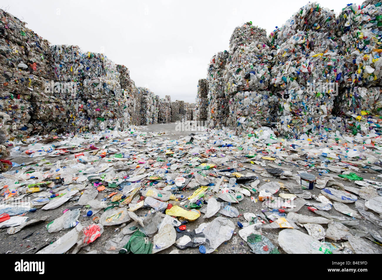 Plastiques triés dans une usine de recyclage des déchets au Royaume-Uni. Banque D'Images