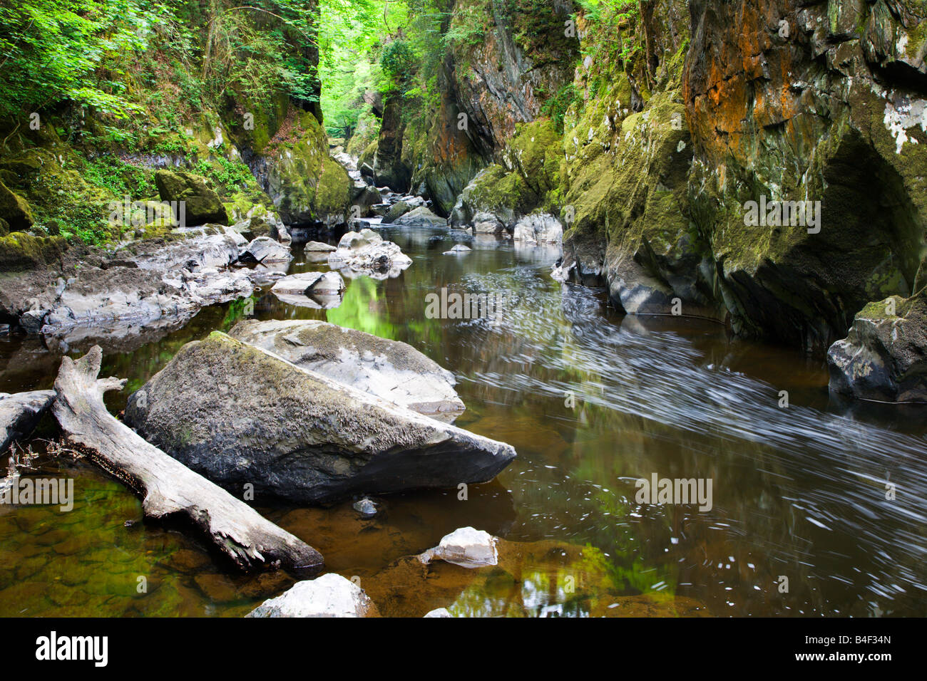 Au printemps Fairy Glen Betws y Coed Wales Snowdonia Banque D'Images