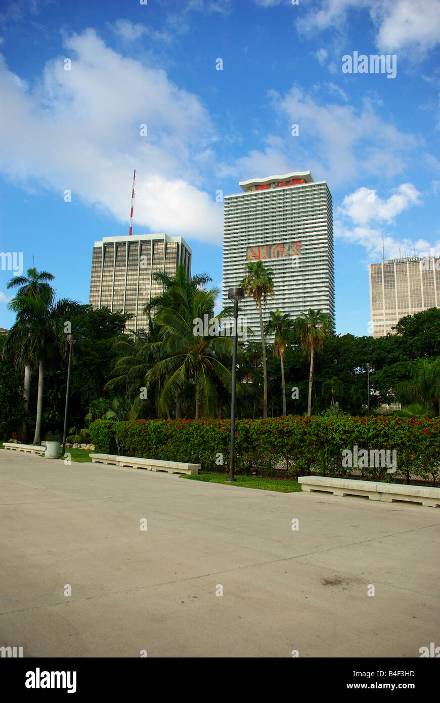 Deux gratte-ciel vu d'un parc dans le centre-ville de Miami, Floride Banque D'Images