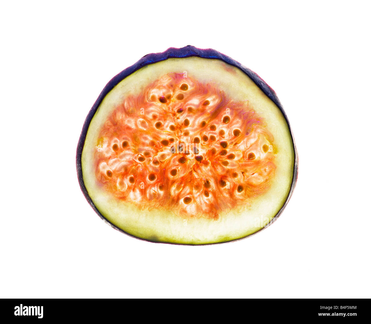 Fresh fig tranche tranches de transparence transparent light studio cut Banque D'Images