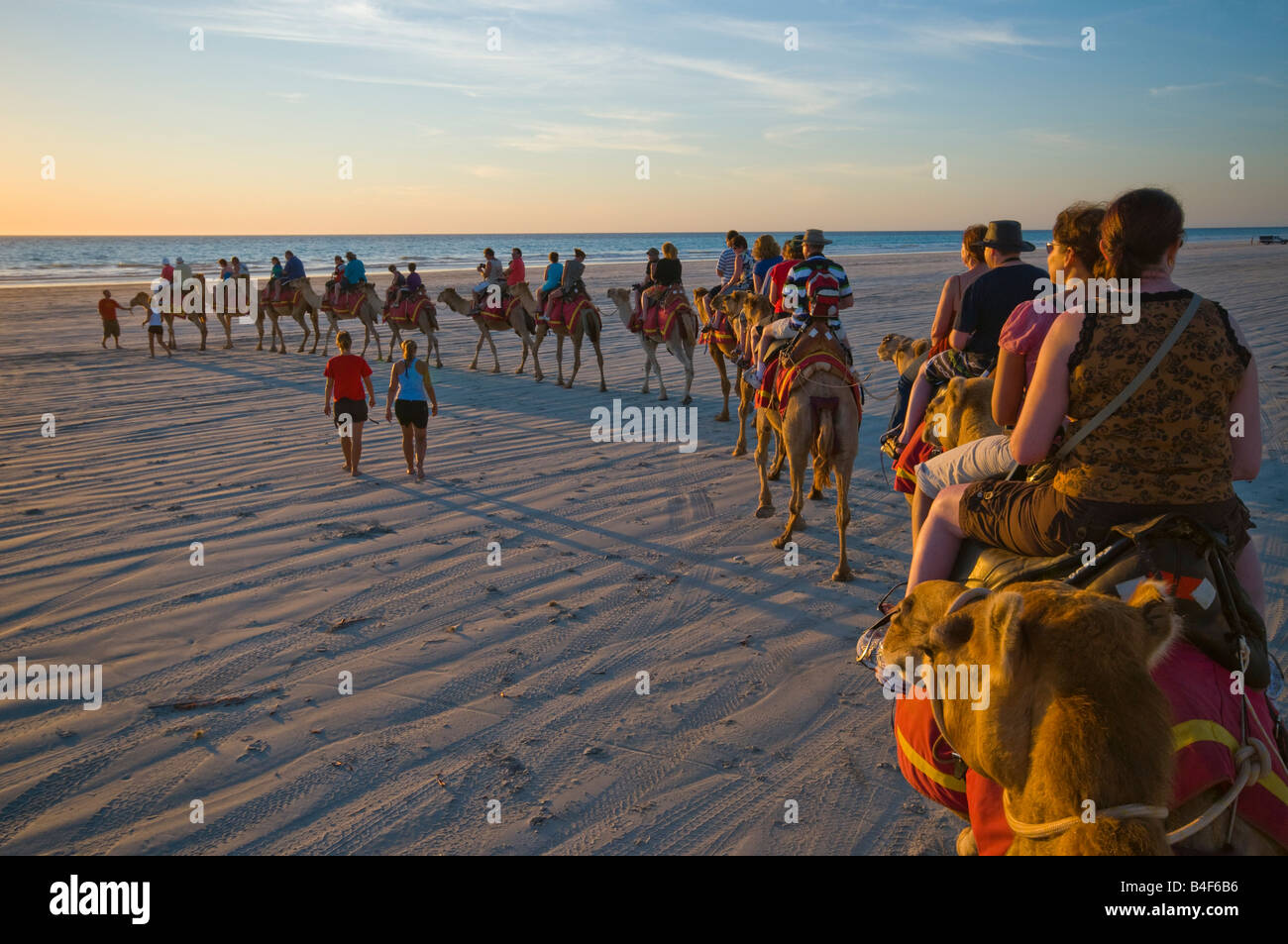 L'équitation de chameau au coucher du soleil sur la plage Cable Broome Australie Occidentale Banque D'Images