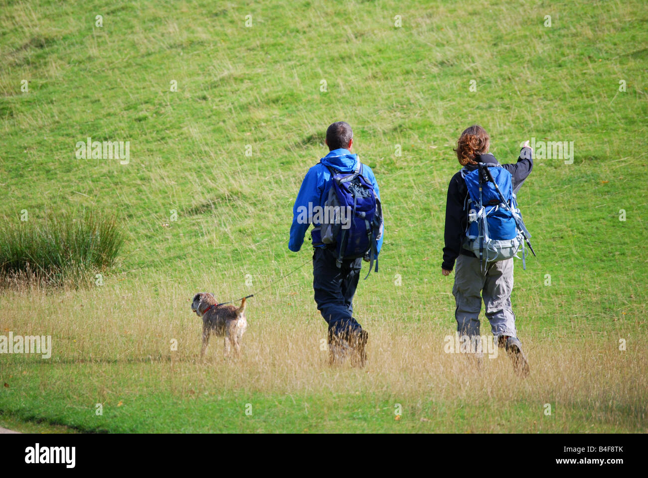 Couple walking dog, Knole Park, Sevenoaks, Kent, Angleterre, Royaume-Uni Banque D'Images