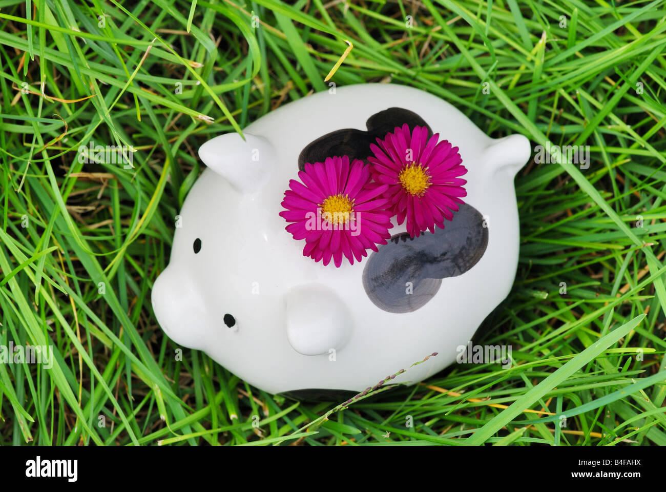 Piggy Bank on grass Banque D'Images