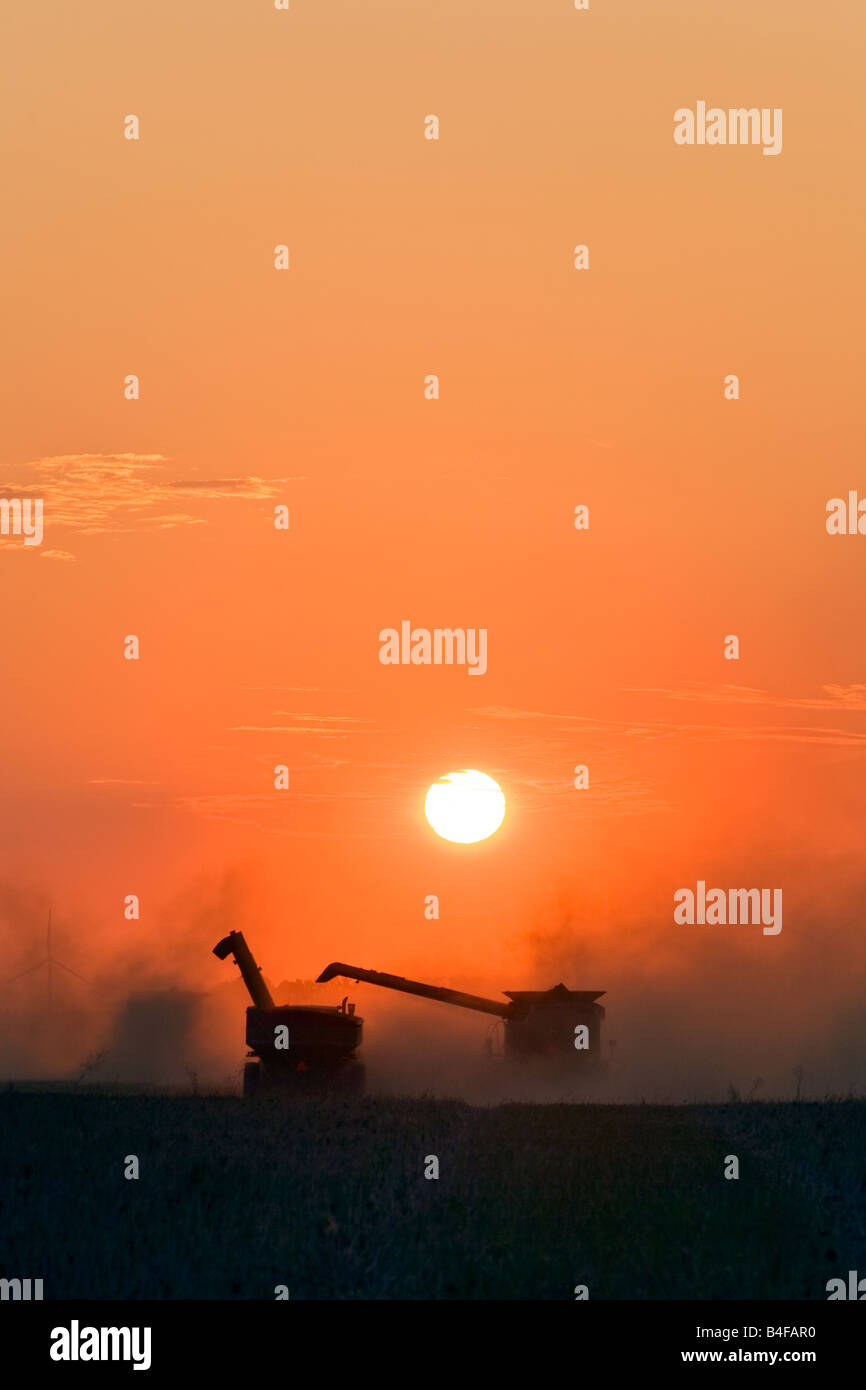Récolte d'automne et combine au coucher du soleil, en silhouette. Manitoba, Canada. Banque D'Images