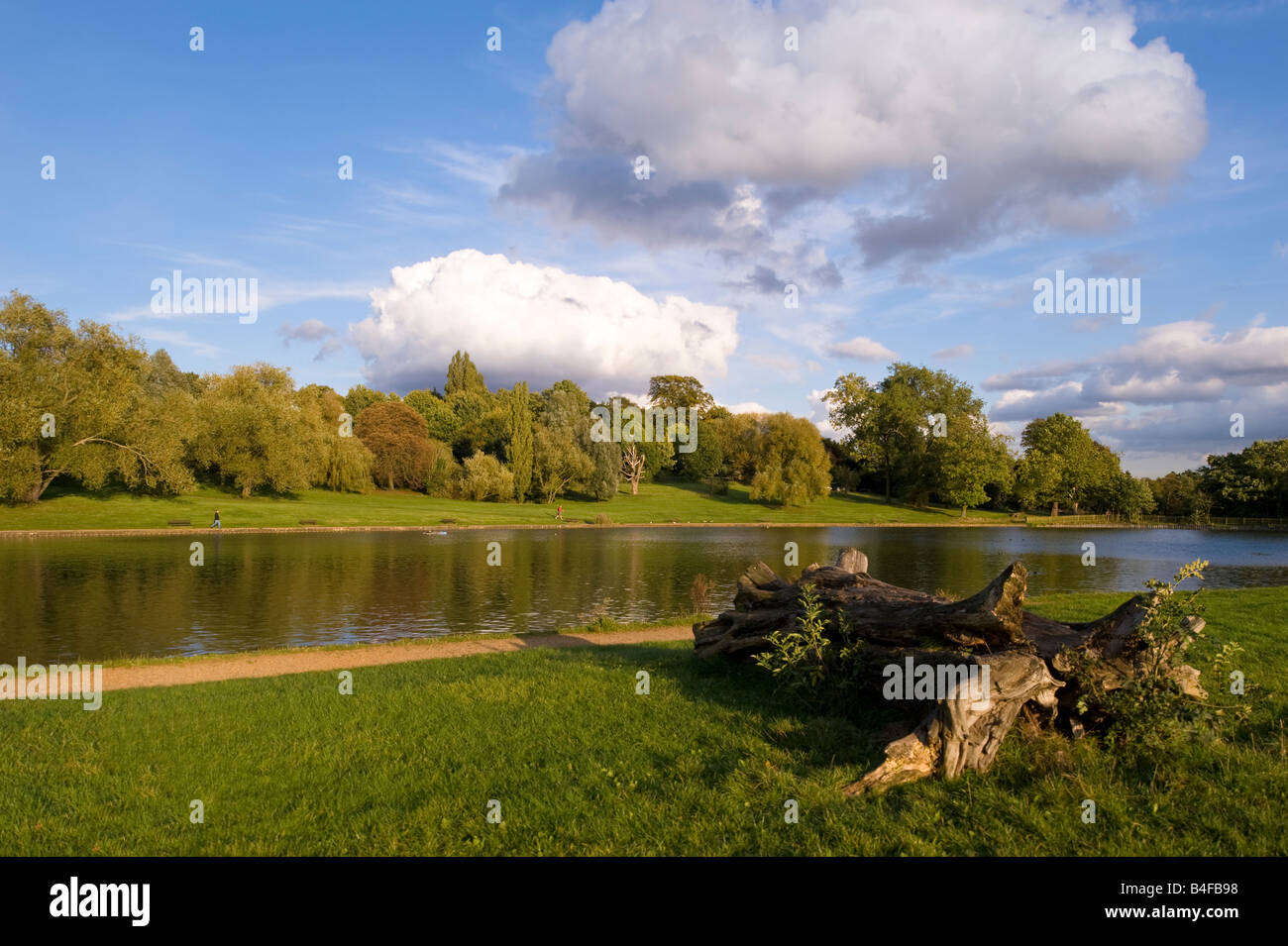 Lac de plaisance Hampstead Hampstead Heath Londres NW3 United Kingdom Banque D'Images