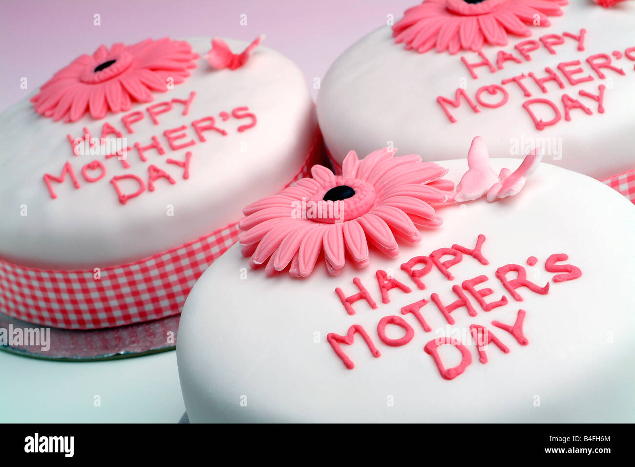 Gateau De Fete Des Meres Avec Gerbera Rose Decoration Florale Et Glacage Blanc Et Ruban Vichy Photo Stock Alamy Gateau De Fete Des Meres Avec Gerbera Rose Decoration Florale Et Glacage Blanc Et Ruban Vichy Photo Stock Alamy