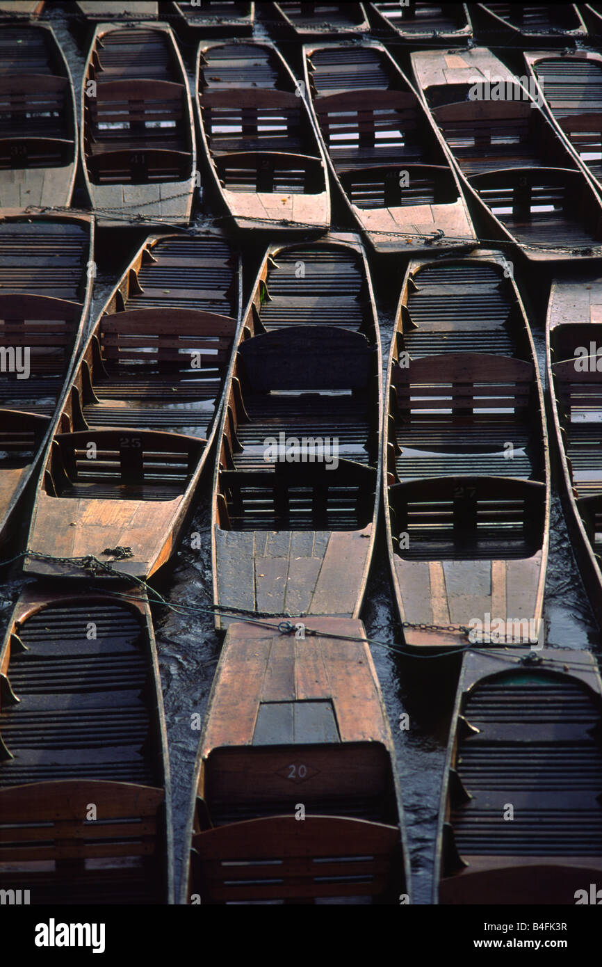 Plates, rivière Cherwell, Oxford, UK. Banque D'Images