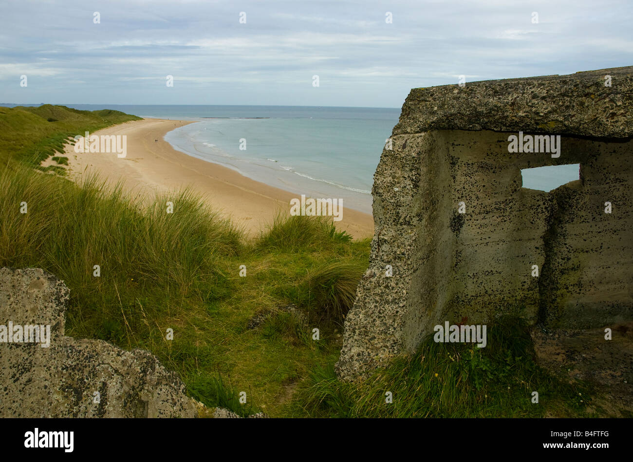 Une 'Comp' se trouve au-dessus de dunes près de Largs sur la côte de Northumberland England Banque D'Images