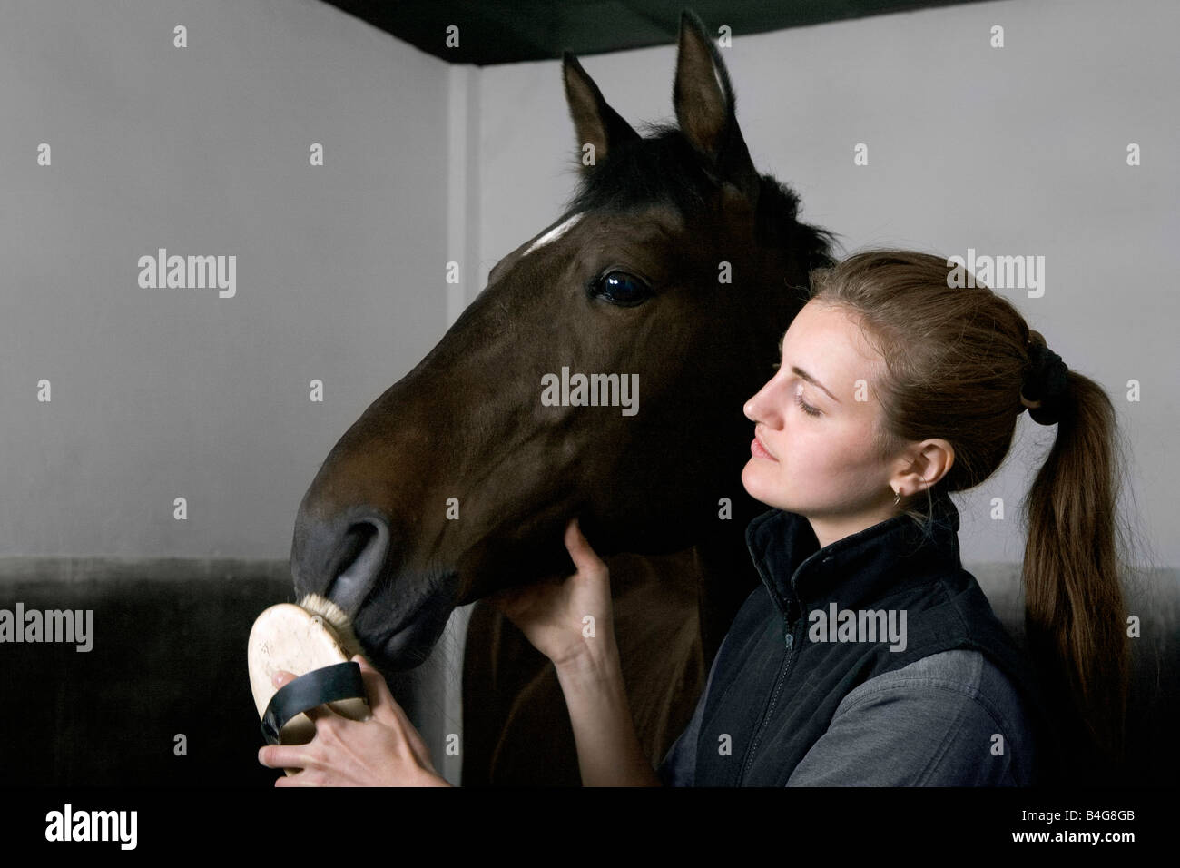 Une jeune femme se toiletter un cheval Banque D'Images