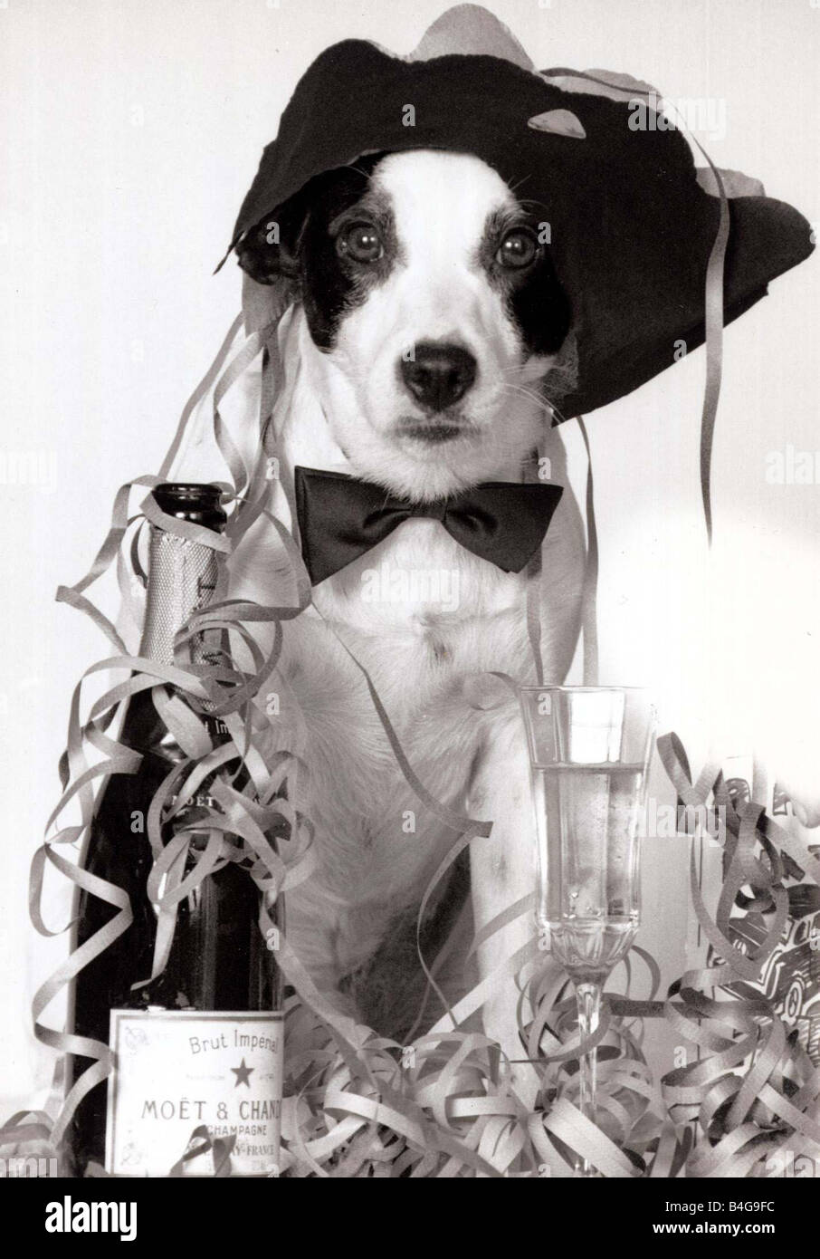 Third Birthday Banque De Photographies Et D Images A Haute Resolution Alamy