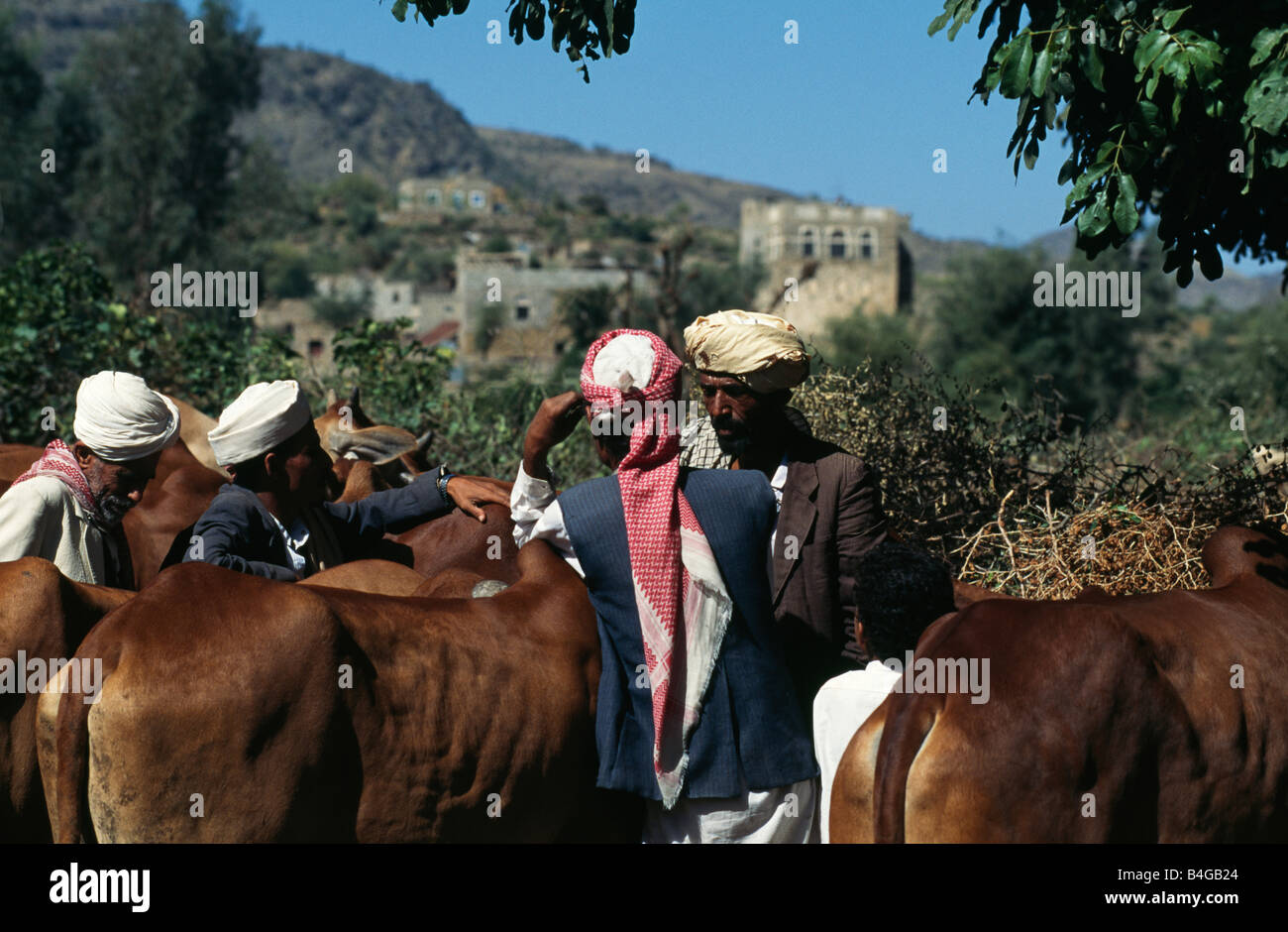 Le Wadi al Dhabab marché dimanche, au Yémen. Banque D'Images