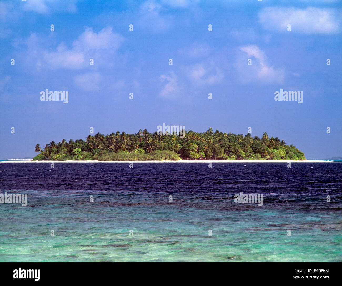 Maldives île tropicale de l'OCÉAN INDIEN Banque D'Images