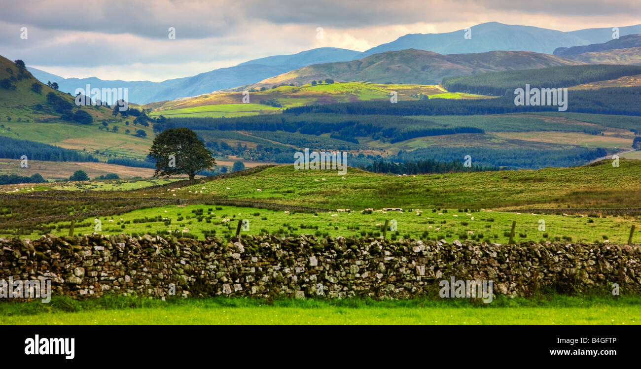 Lake District, paysage, England, UK en automne Banque D'Images