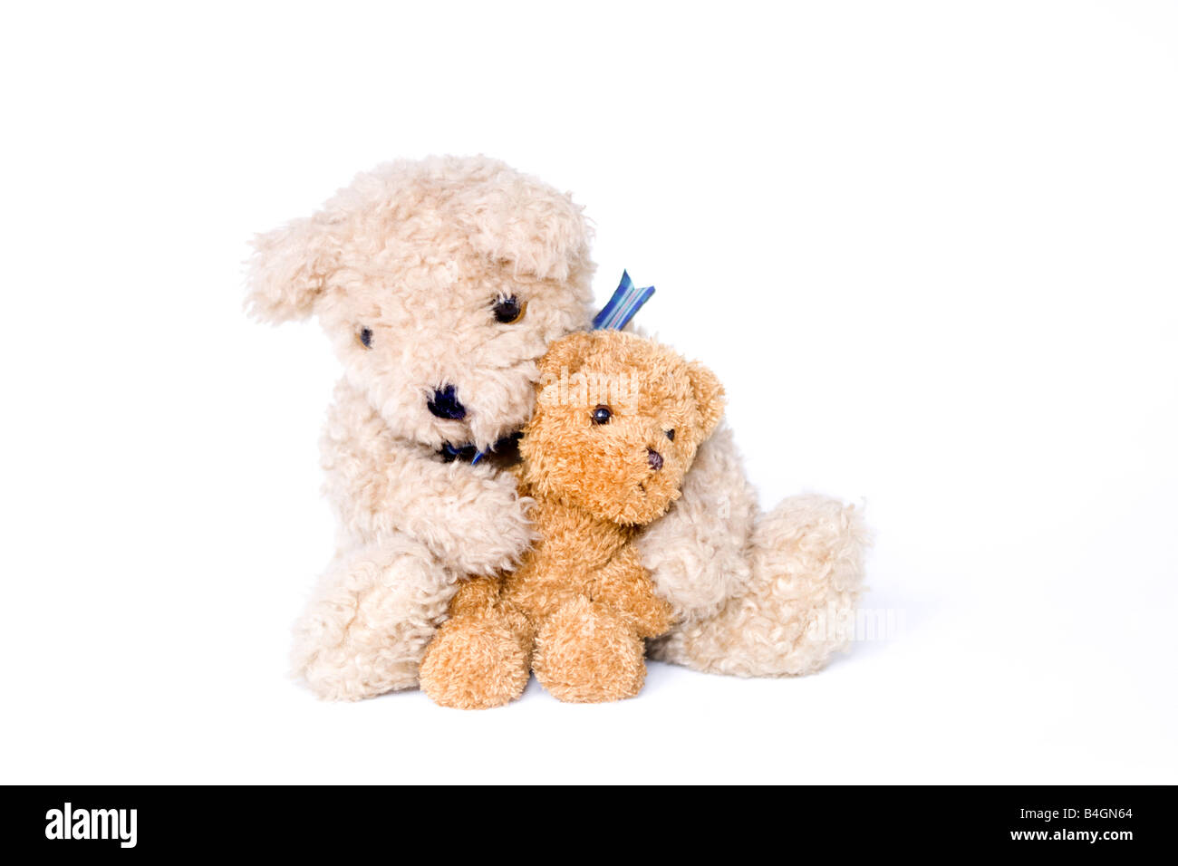 Ours brun et blanc ensemble Banque D'Images