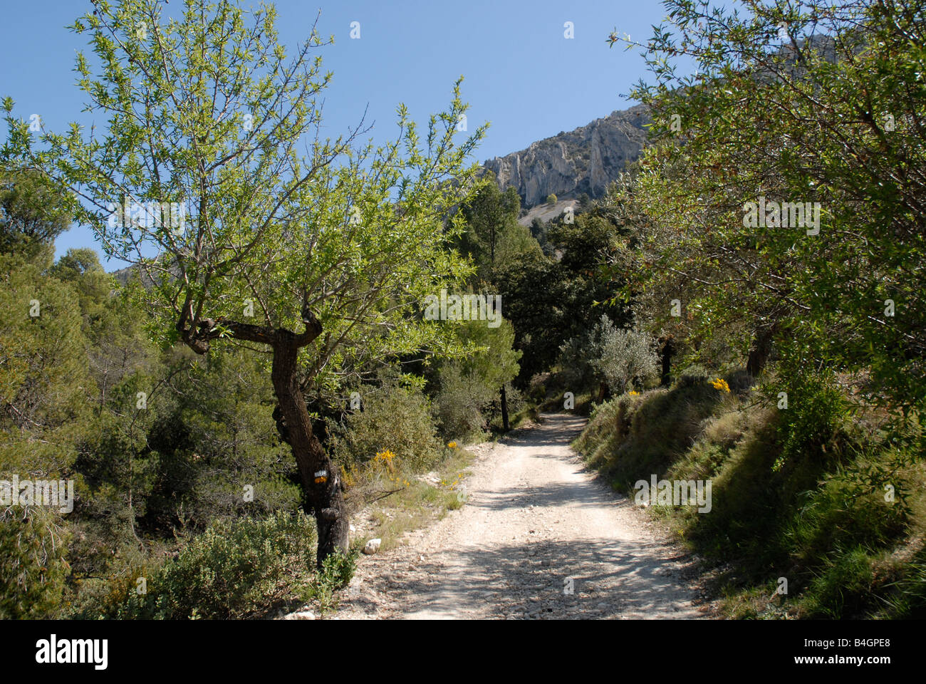 La voie à Vila de Muro rock pinacles, Sierra de Serrella, Comtat, Province d'Alicante, Valence, Espagne Comunidada Banque D'Images