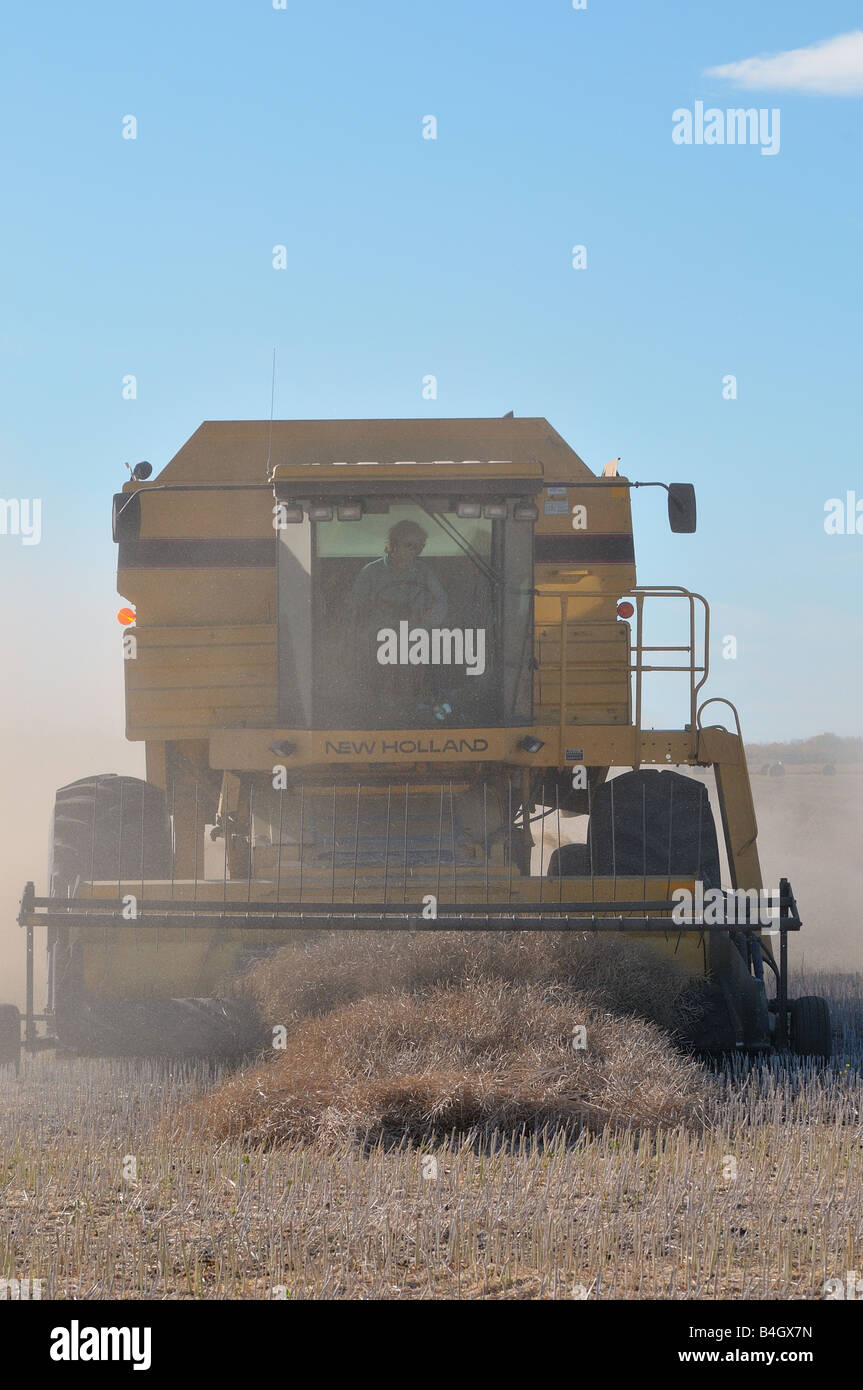 Récolte de blé 0809 Banque D'Images