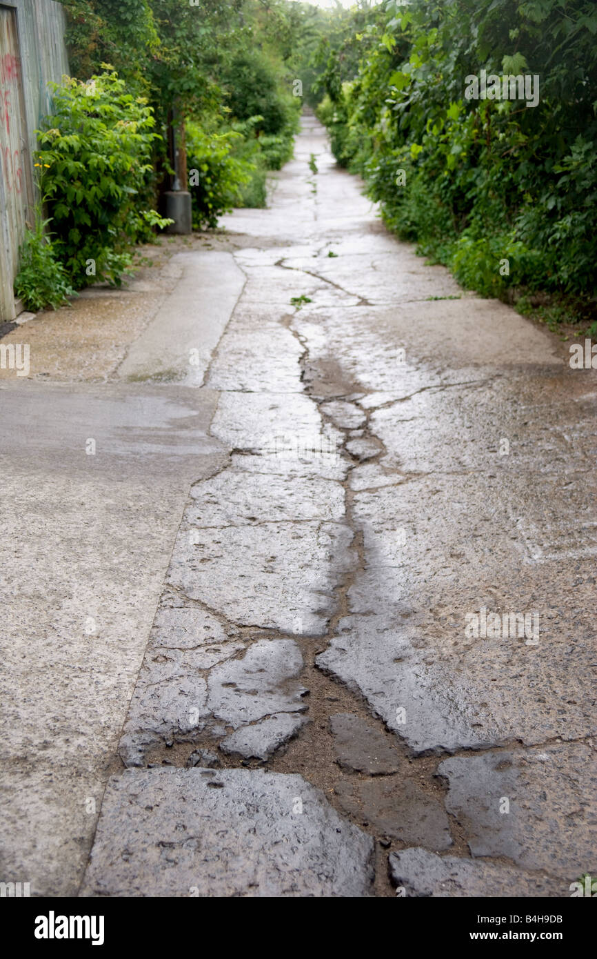 La fissuration d'un ruelle de la rue Duluth E. à Montréal, Québec, Canada. Banque D'Images