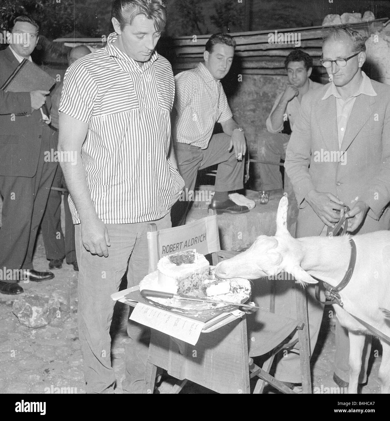 L Acteur Americain Robert Mitchum Ressemble Peu Impressionnee Comme Une Chevre Mange Son Gateau D Anniversaire De Sa Chaire A Son 41e Anniversaire Photo Stock Alamy
