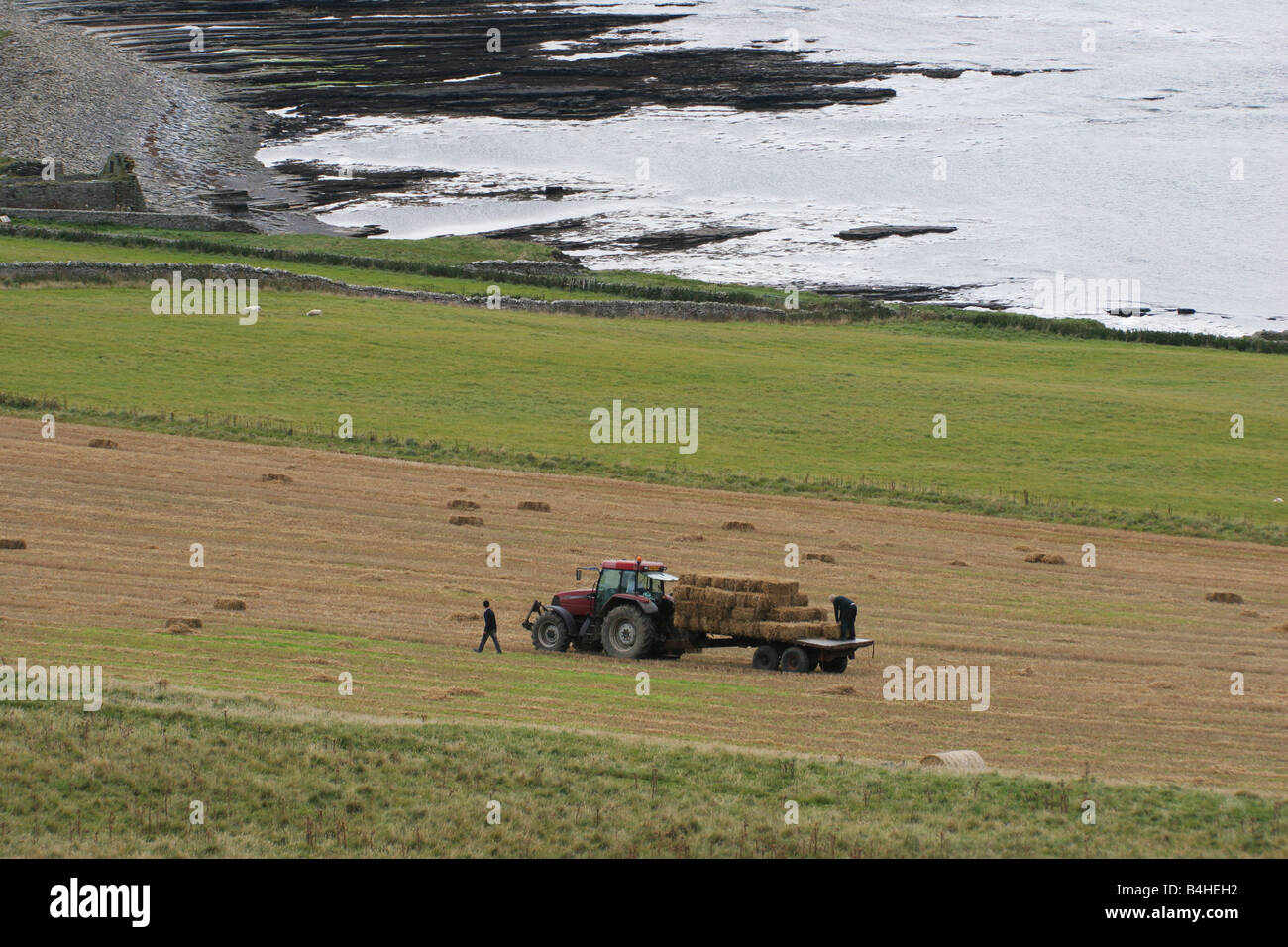 Temps de récolte à Westness sur l'île de Rousay, Orkney, Scotland Banque D'Images