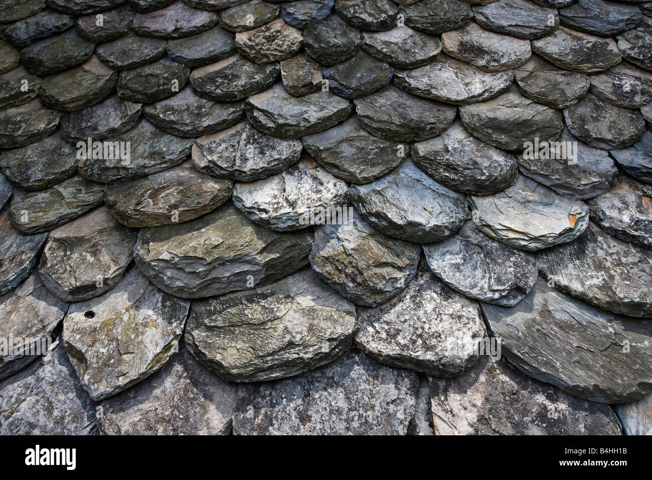 Couverture écailles de poisson dans la vallée du Lot, France Banque D'Images